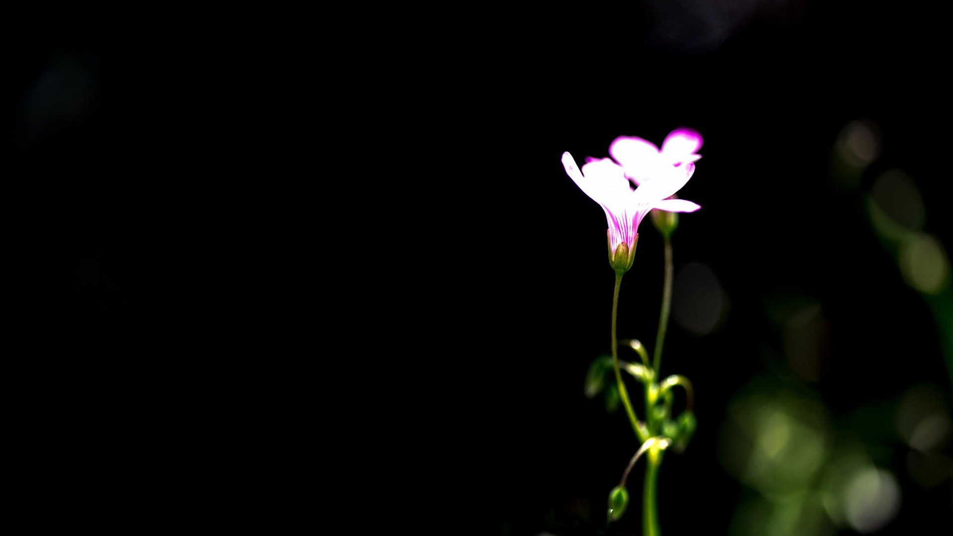 小清新,温暖,干净,安静,唯美,静物,物语,时光