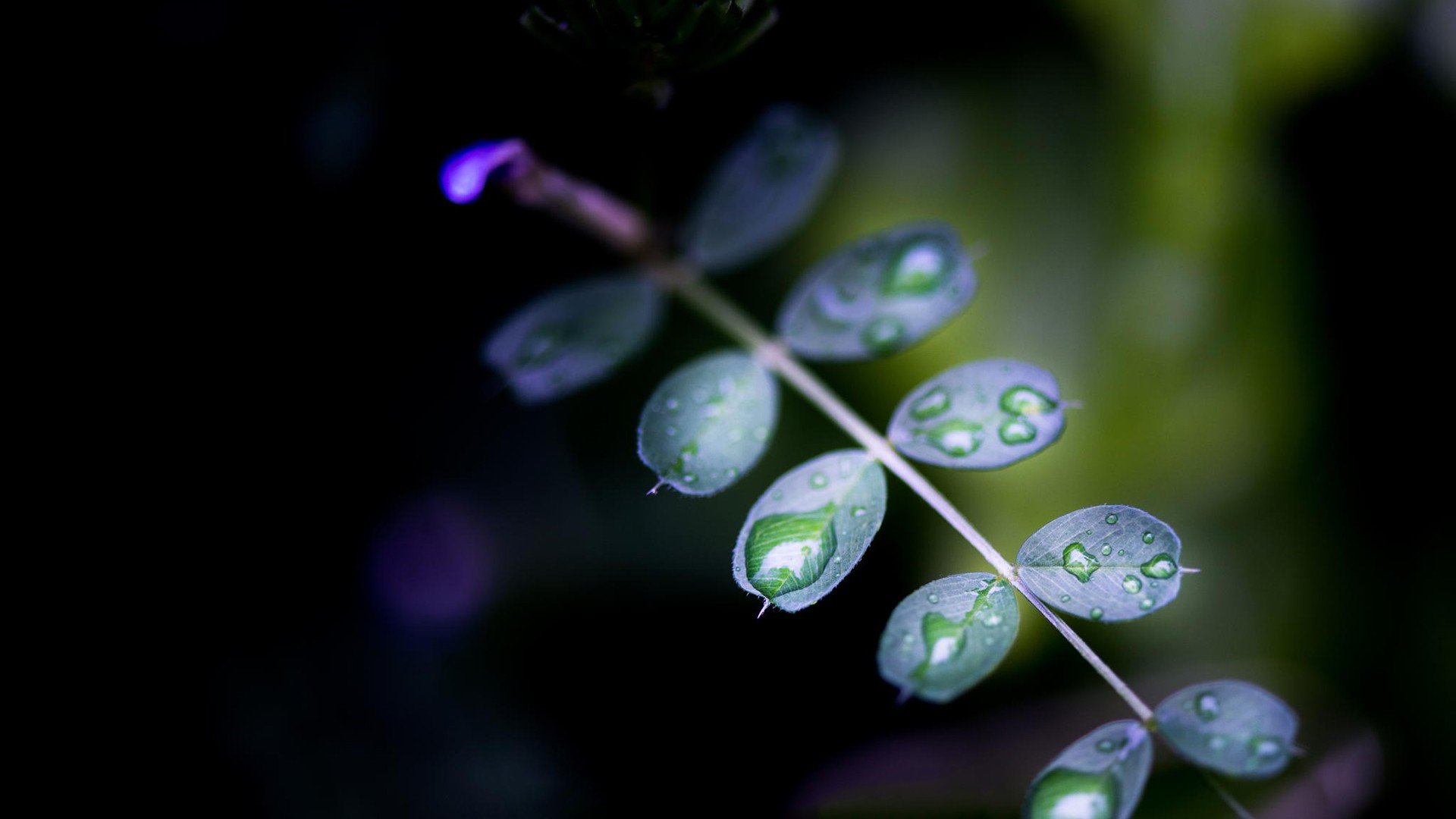 小清新,温暖,干净,安静,唯美,静物,物语,时光