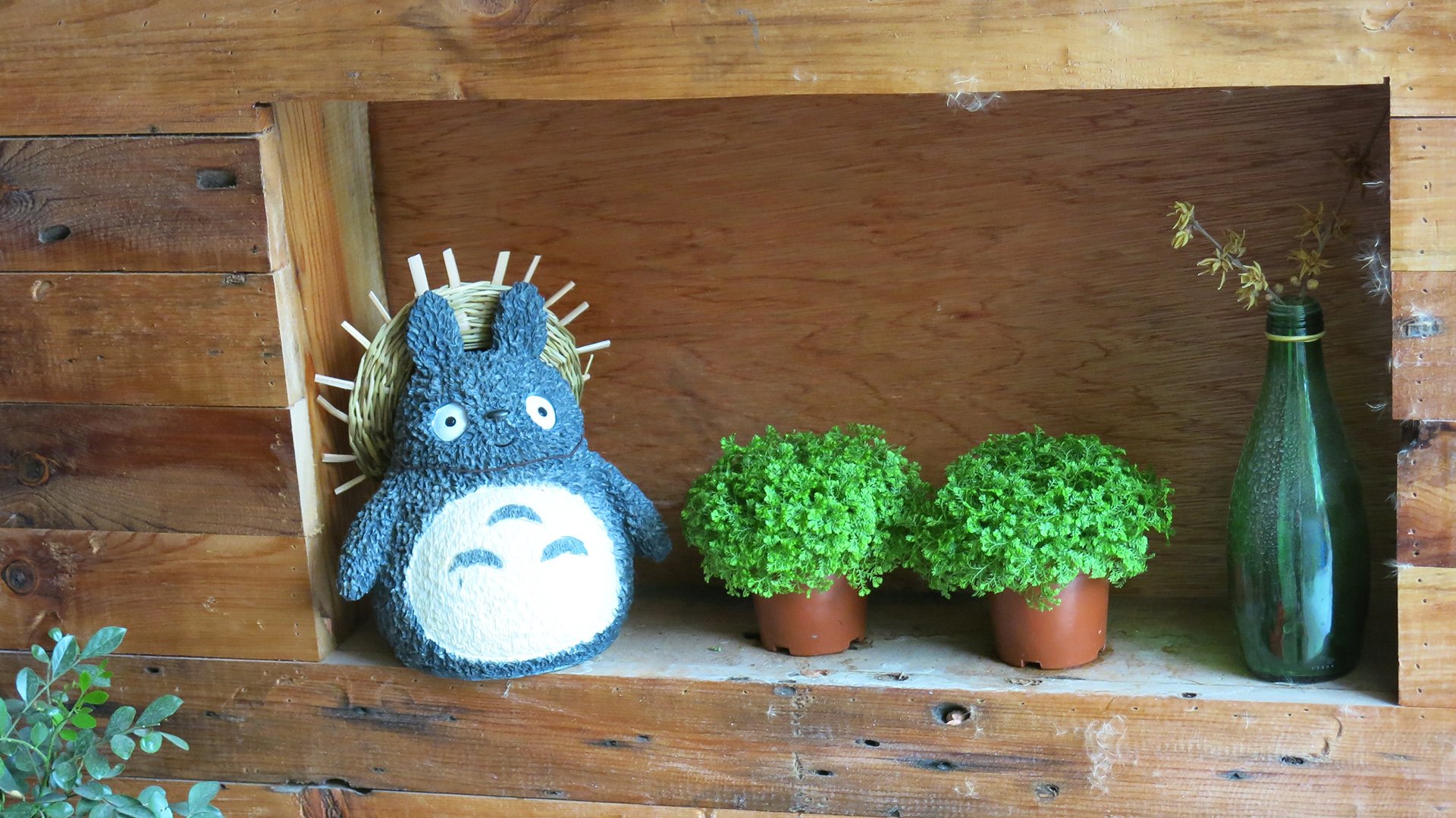 小清新,温暖,干净,安静,唯美,静物,物语,时光