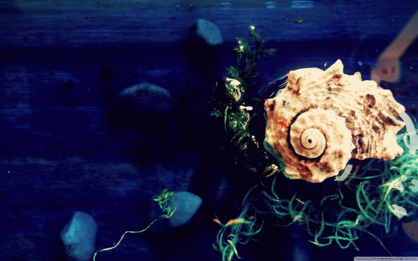 炫酷,特效,简约,简单