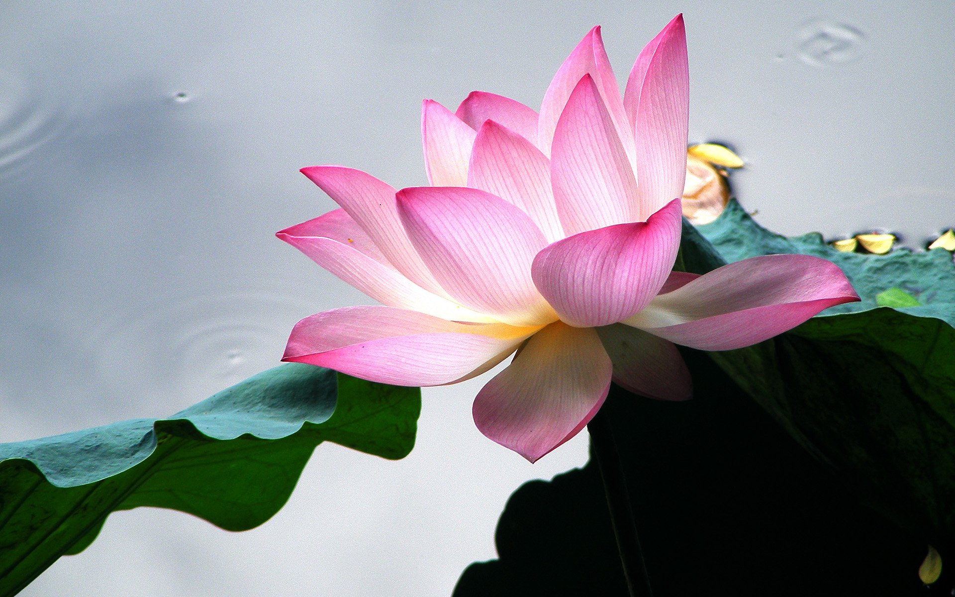 小清新,温暖,干净,安静,唯美,静物,物语,时光