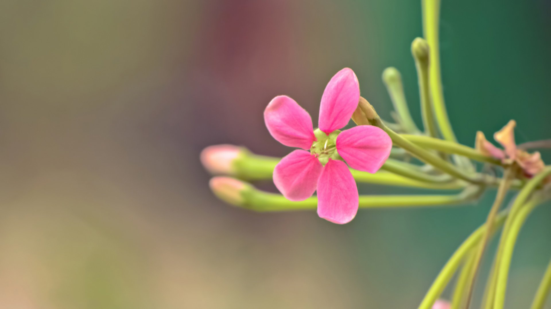 小清新,温暖,干净,安静,唯美,静物,物语,时光