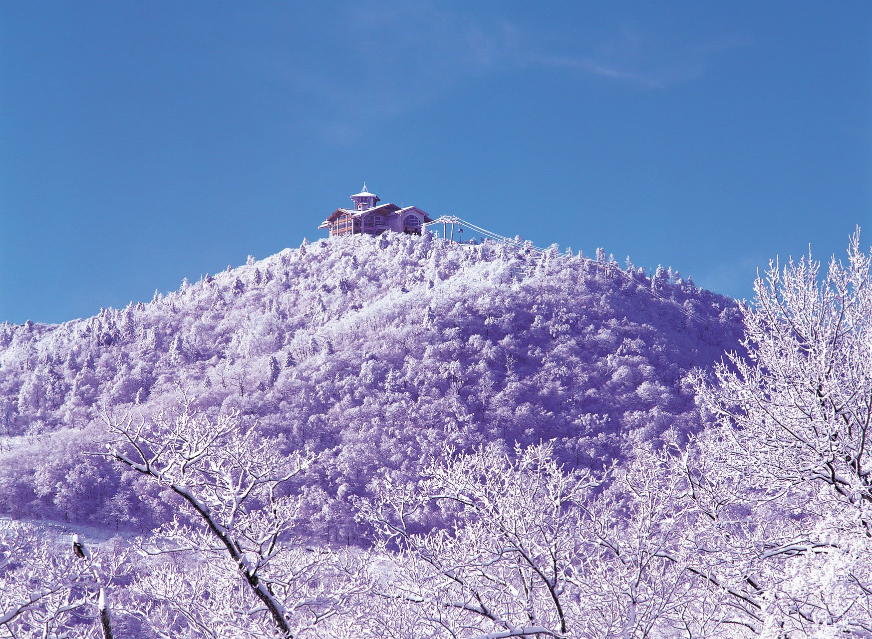 风景,自然风光,大自然,清新,旅行,时光,唯美