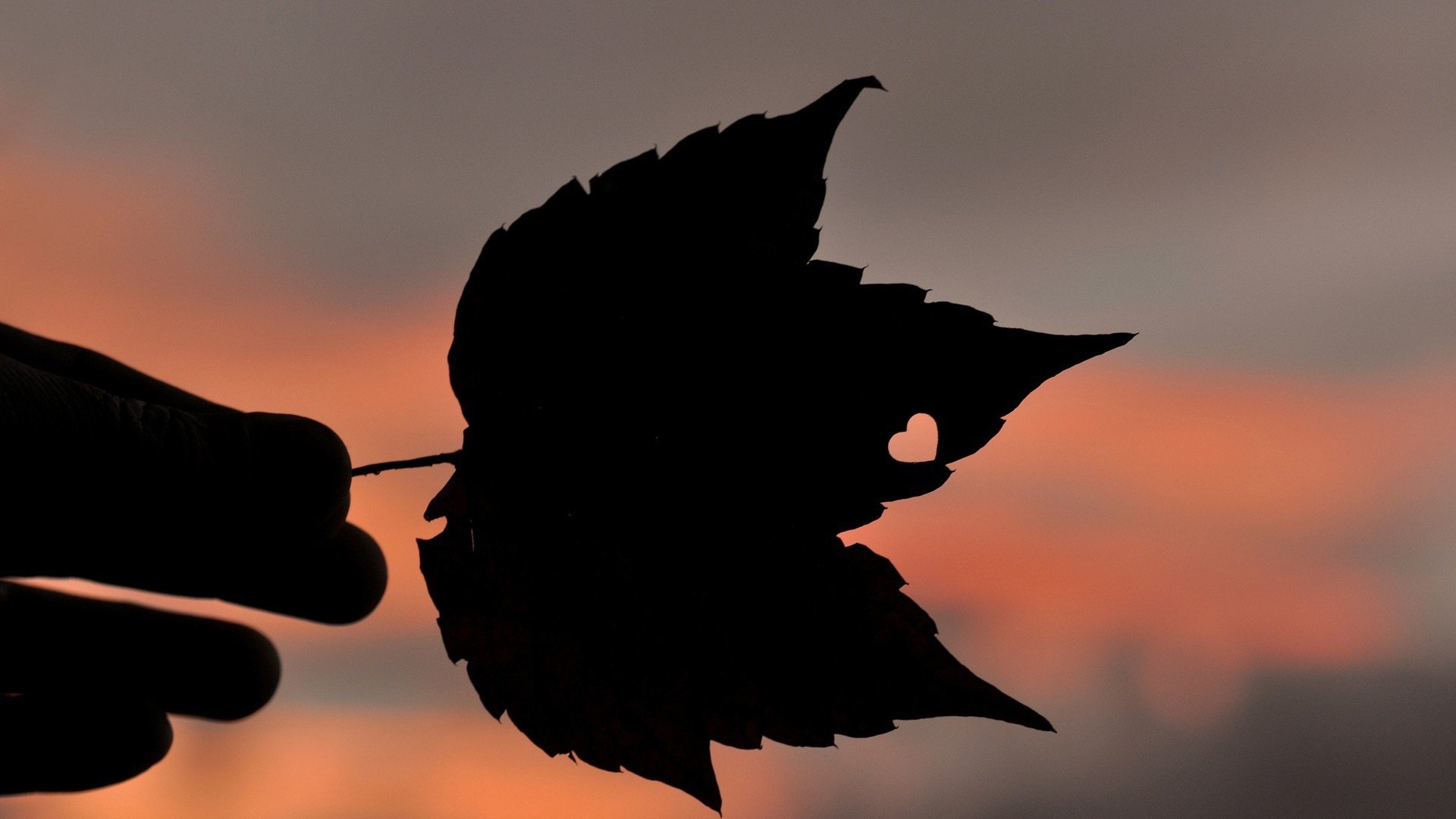 小清新,温暖,干净,安静,唯美,静物,物语,时光