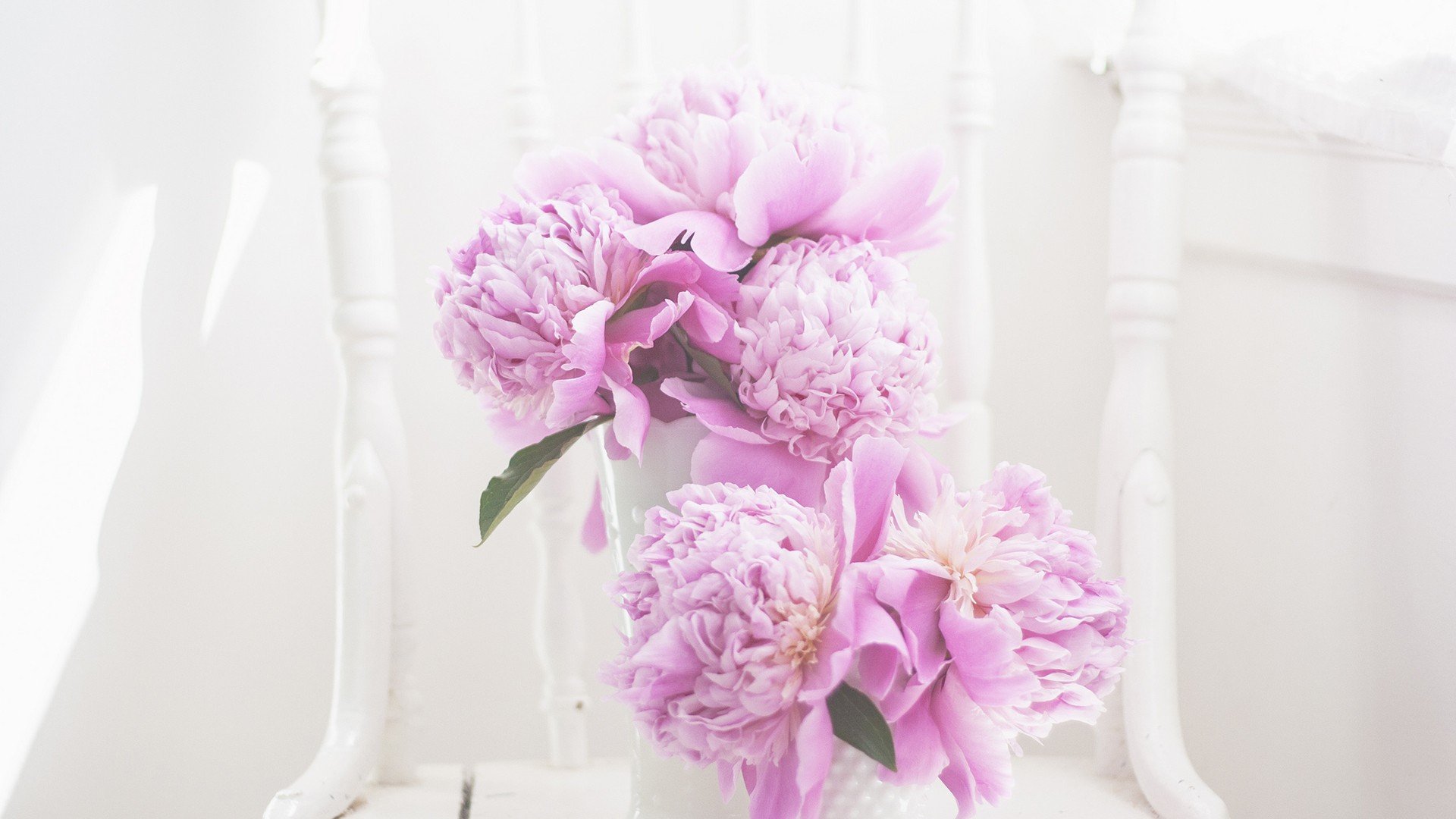 小清新,温暖,干净,安静,唯美,静物,物语,时光,清新淡雅,花朵