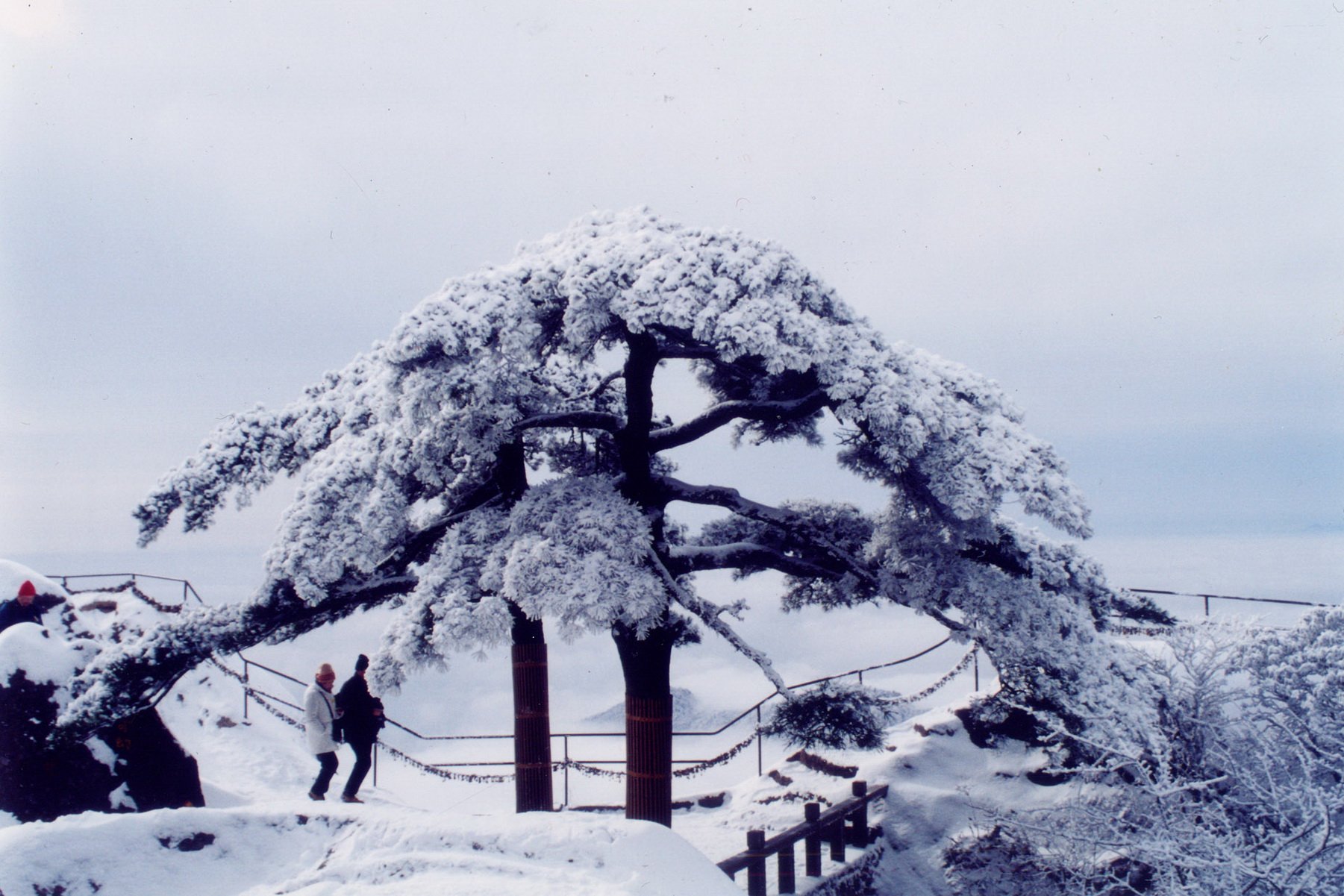 风景,自然风光,大自然