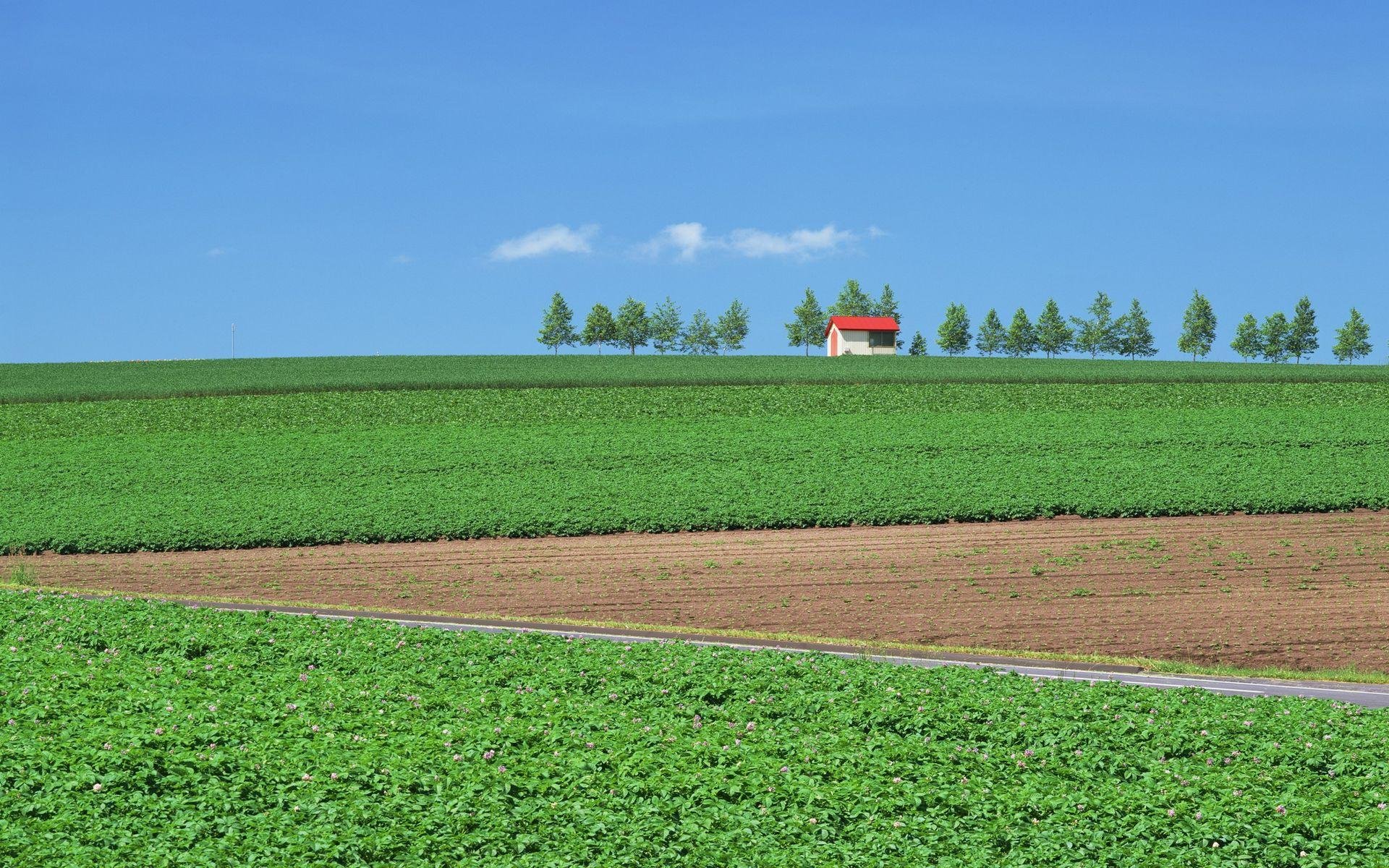 风景,自然风光,大自然,唯美,日本,北海道,日系,旅游胜地