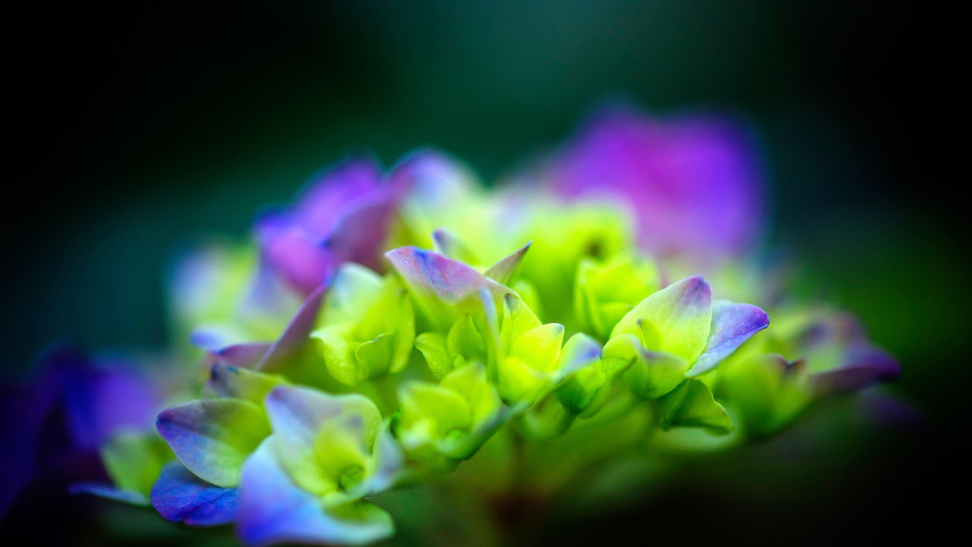 小清新,温暖,干净,安静,唯美,静物,物语,时光