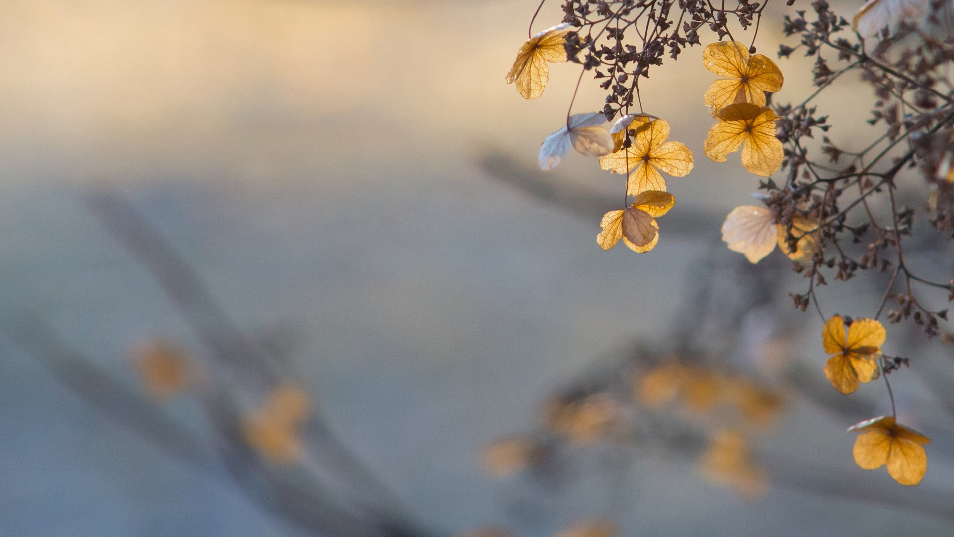 小清新,温暖,干净,安静,唯美,静物,物语,时光