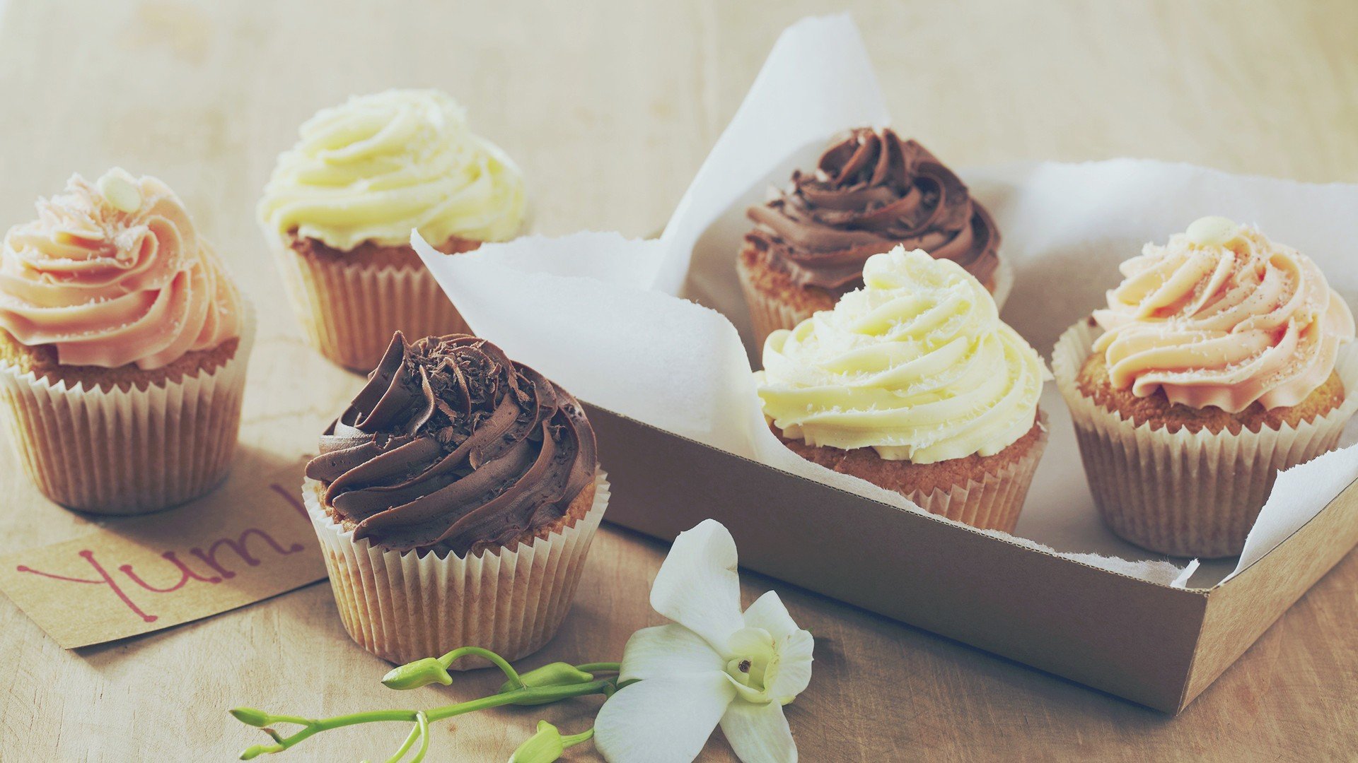 小清新,温暖,干净,安静,唯美,静物,物语,时光