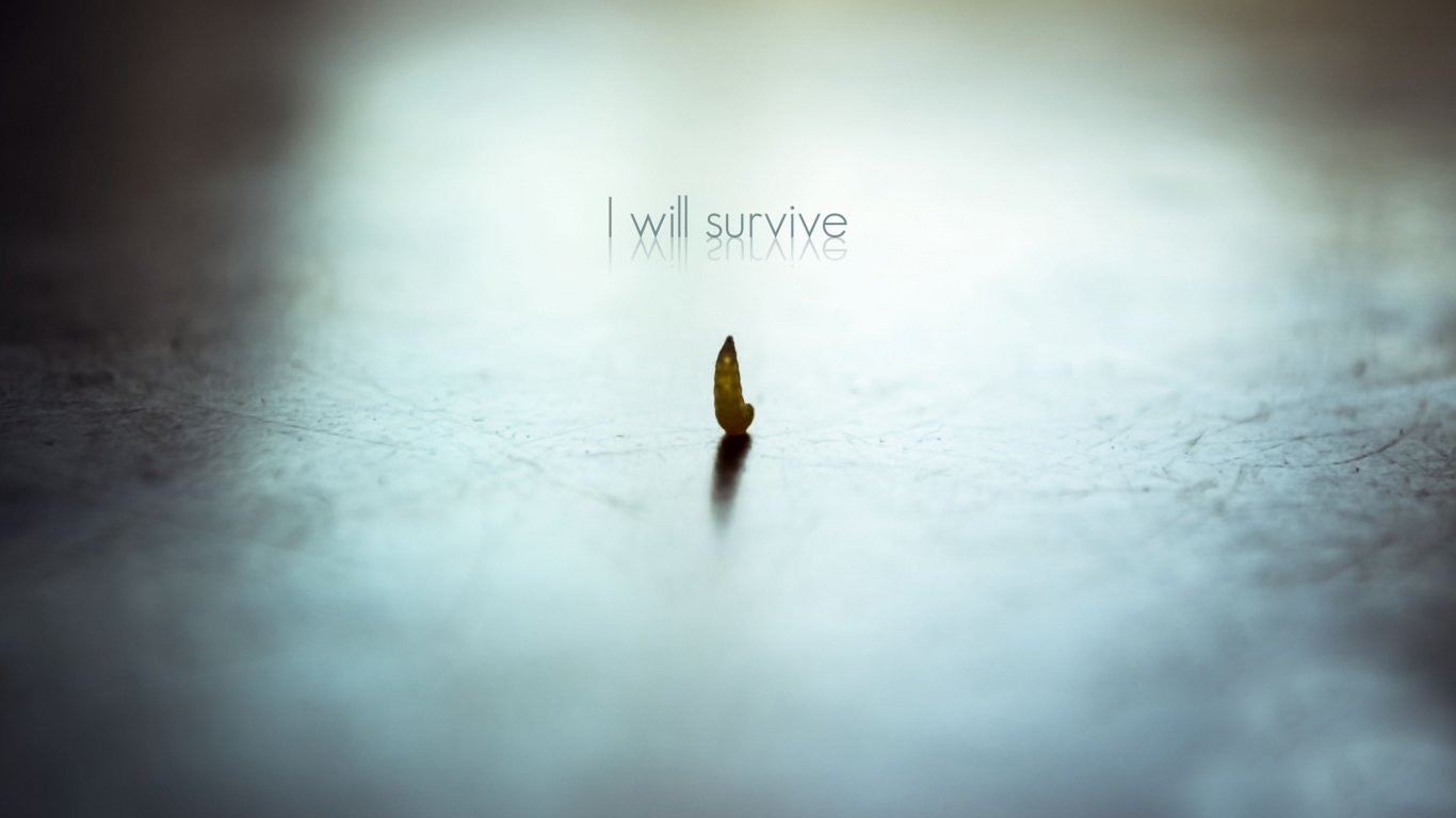 小清新,温暖,干净,安静,唯美,静物,物语,时光,清新淡雅,宁静安详