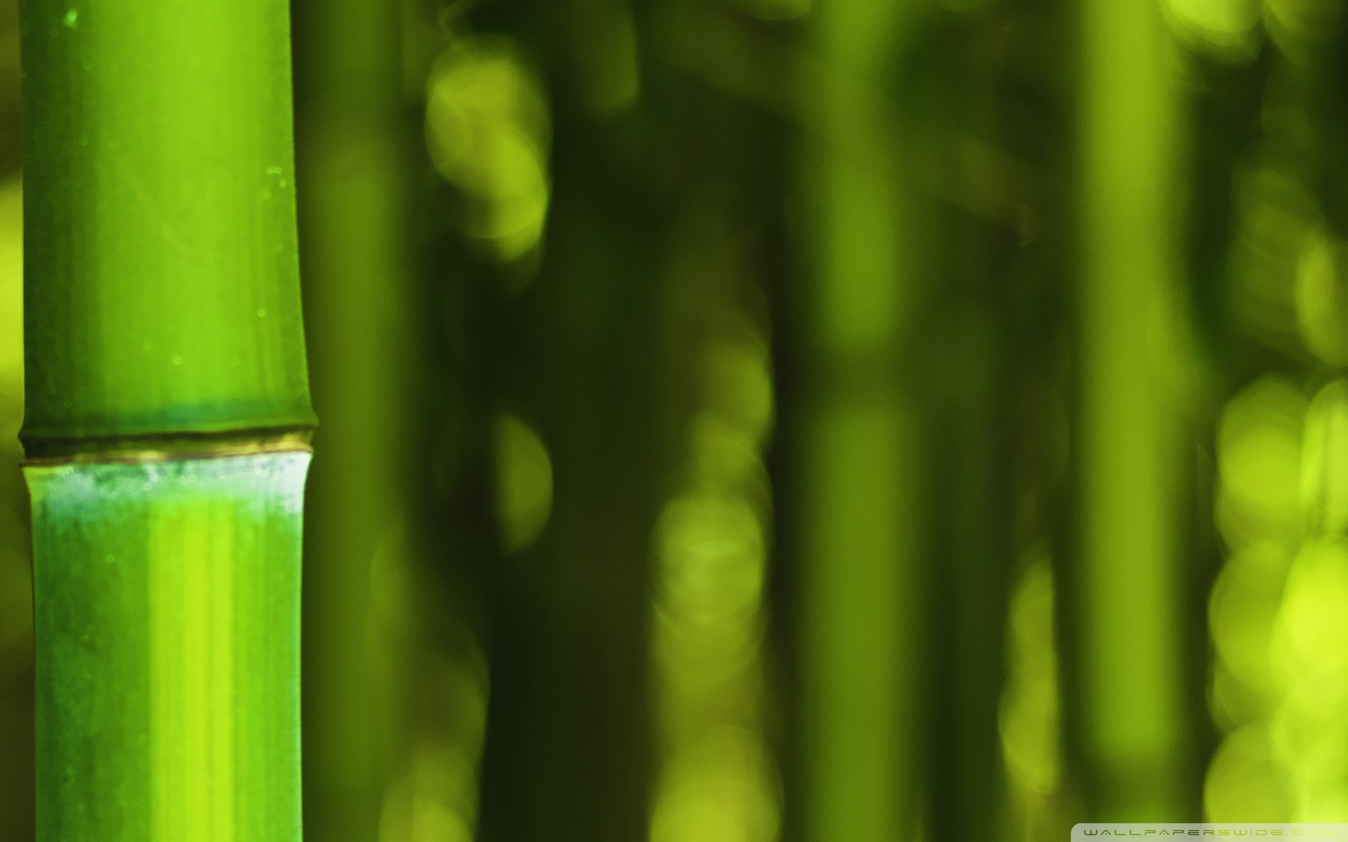 小清新,温暖,干净,安静,唯美,静物,物语,时光