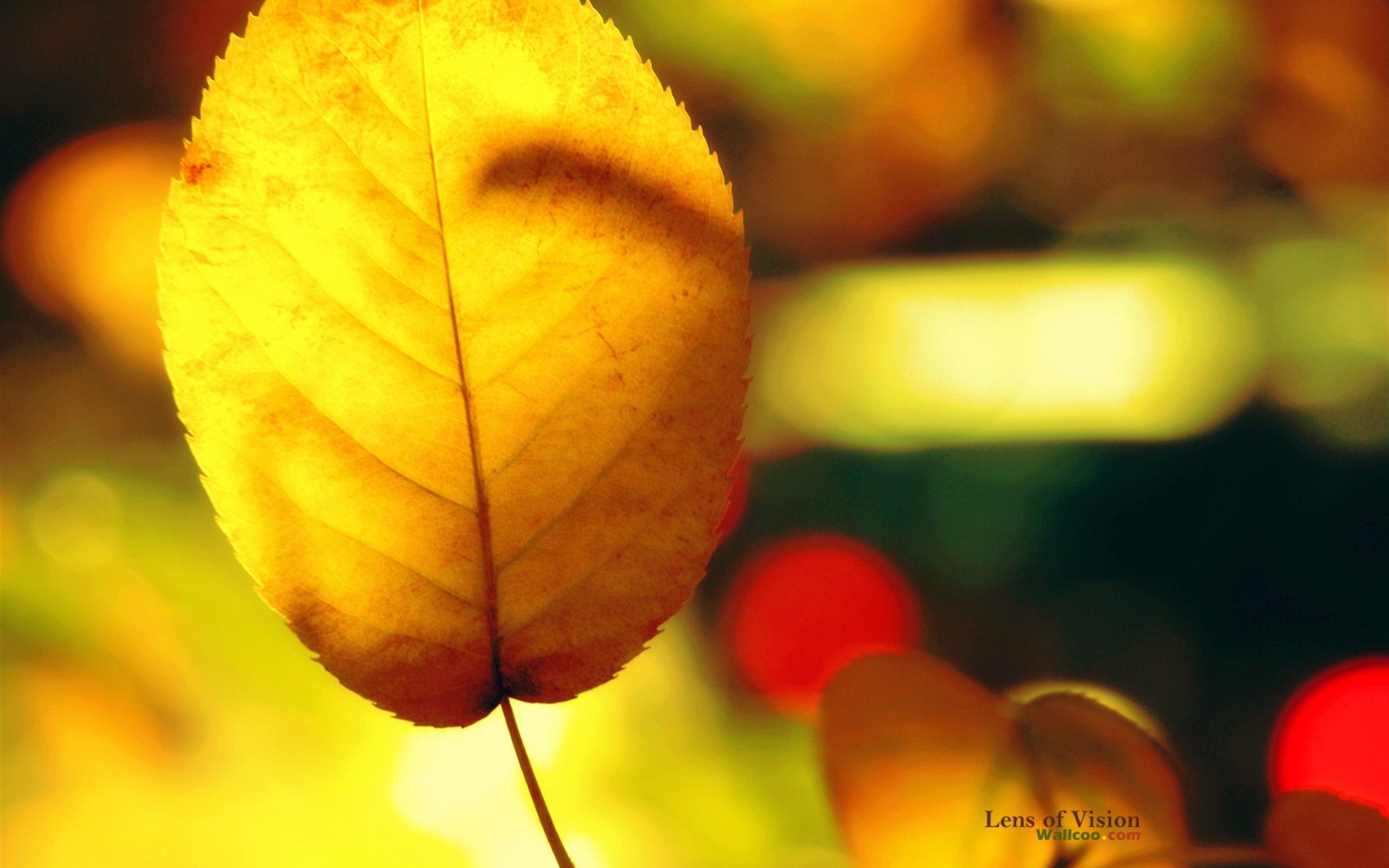 小清新,温暖,干净,安静,唯美,静物,物语,时光,清新淡雅,宁静安详
