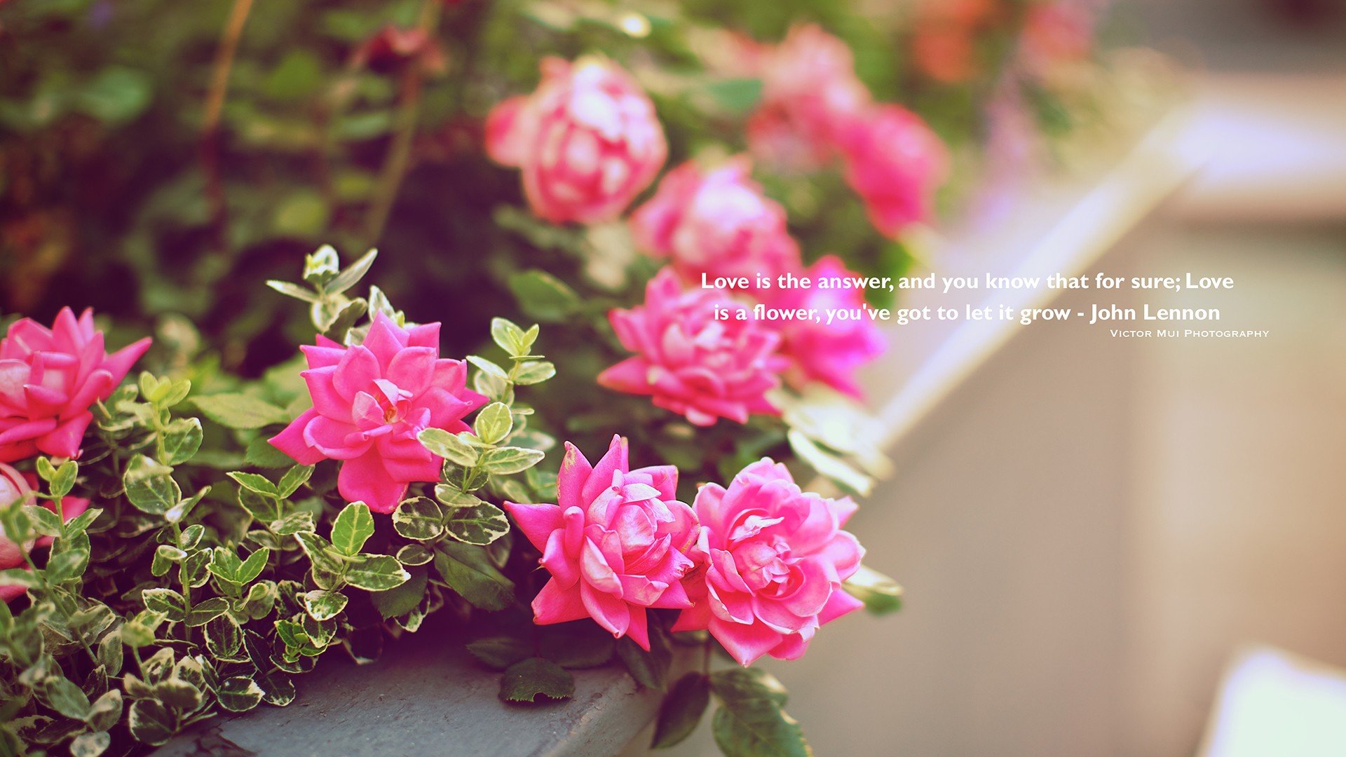 小清新,温暖,干净,安静,唯美,静物,物语,时光