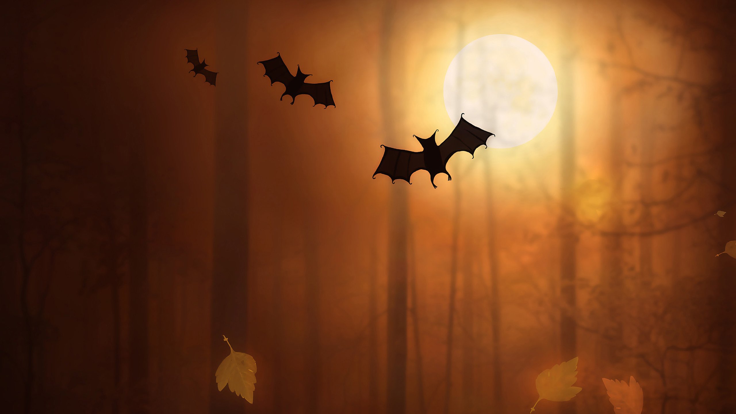 小清新,温暖,干净,安静,唯美,静物,物语,时光,清新淡雅,宁静安详