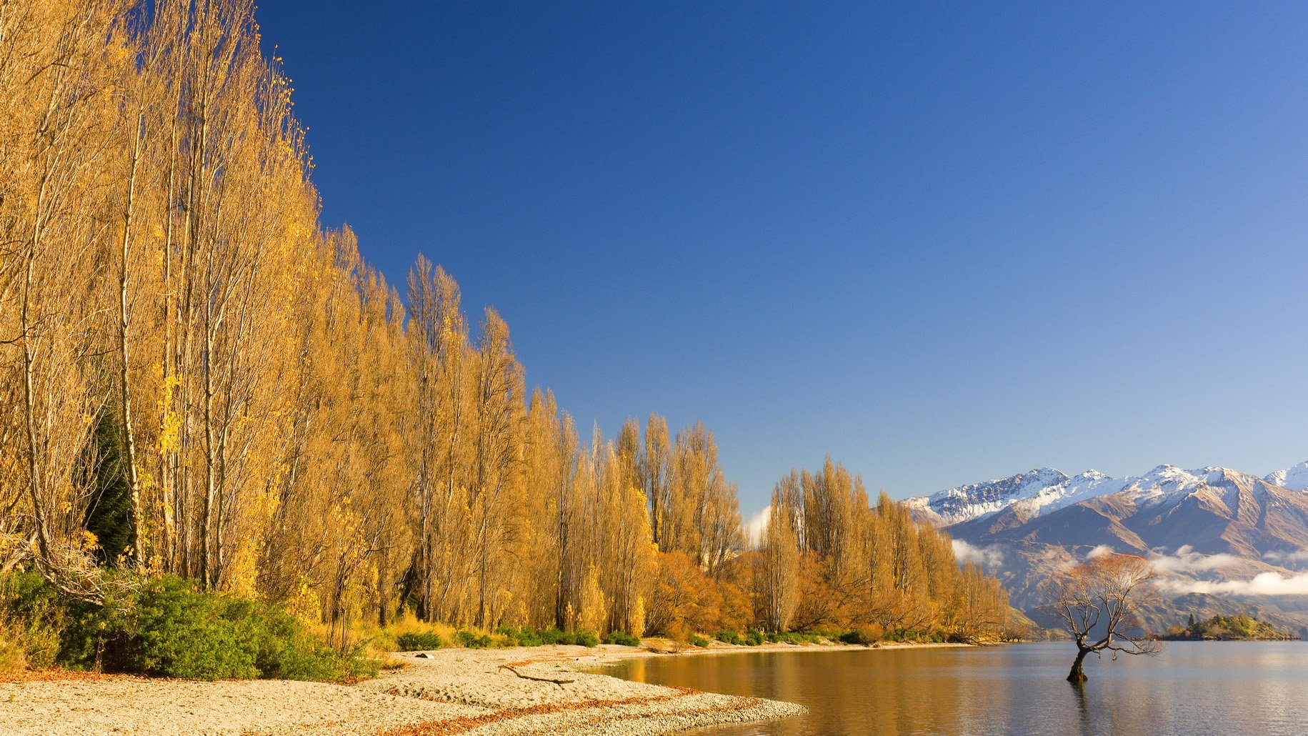 风景,自然风光,大自然