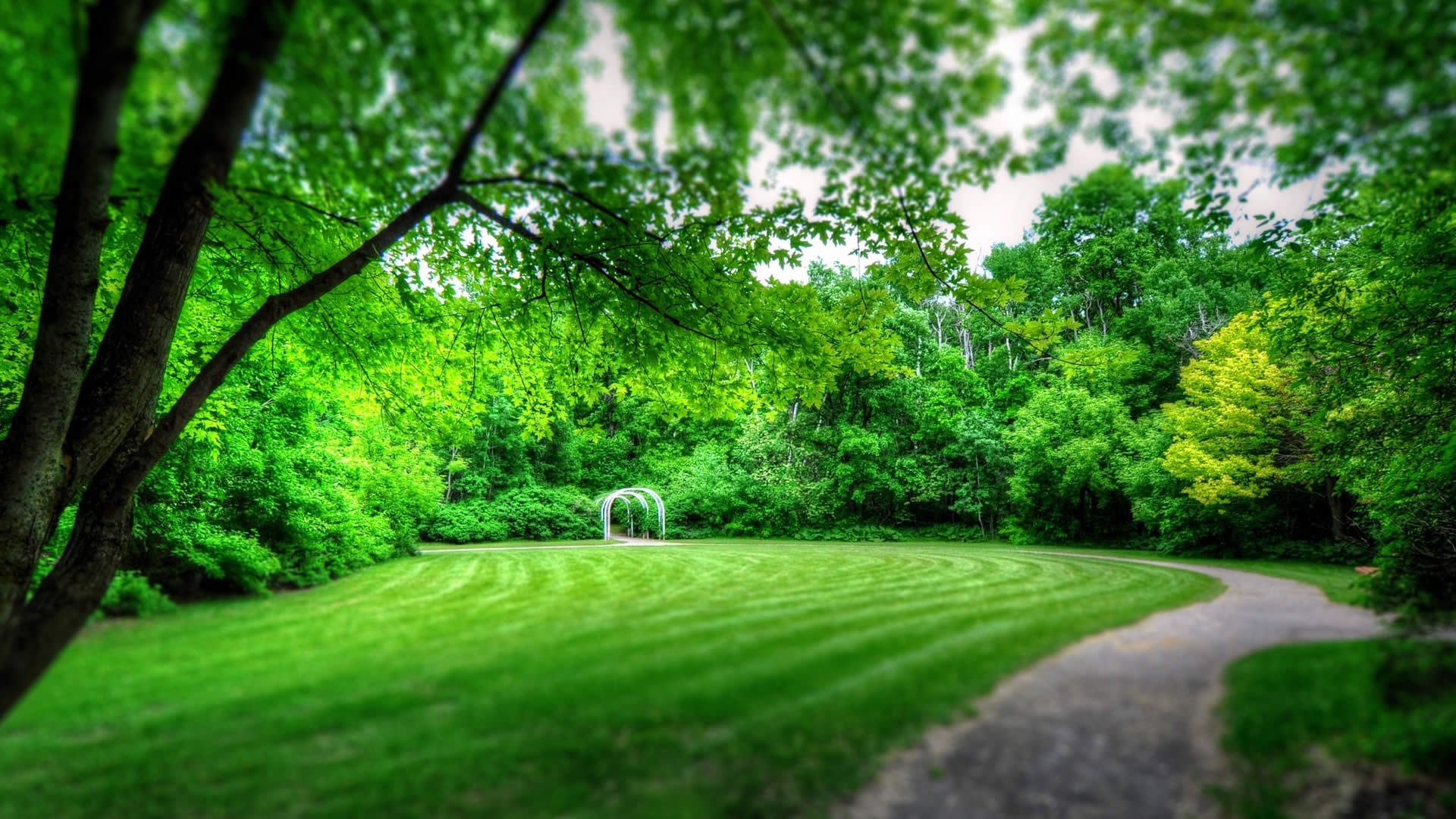 小清新,春意,绿意