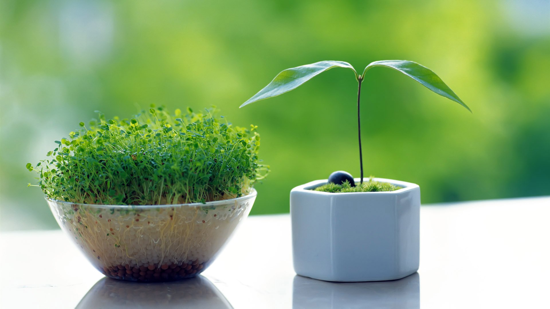 小清新,清新,护眼