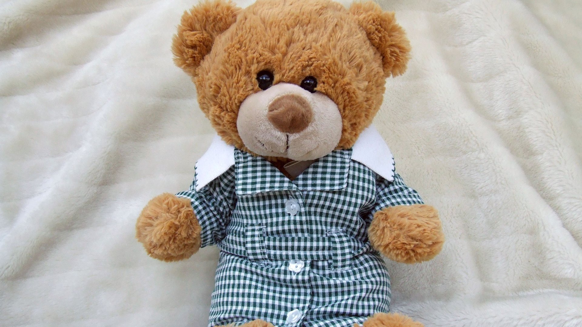 小清新,小熊,温暖