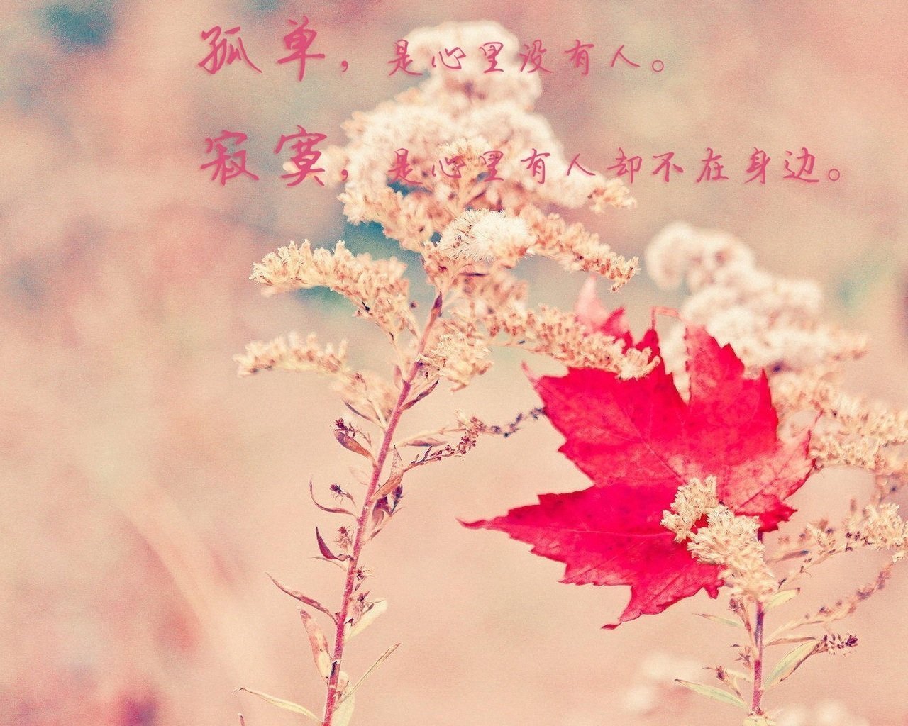 爱情,爱心,love,爱情箴言,高清