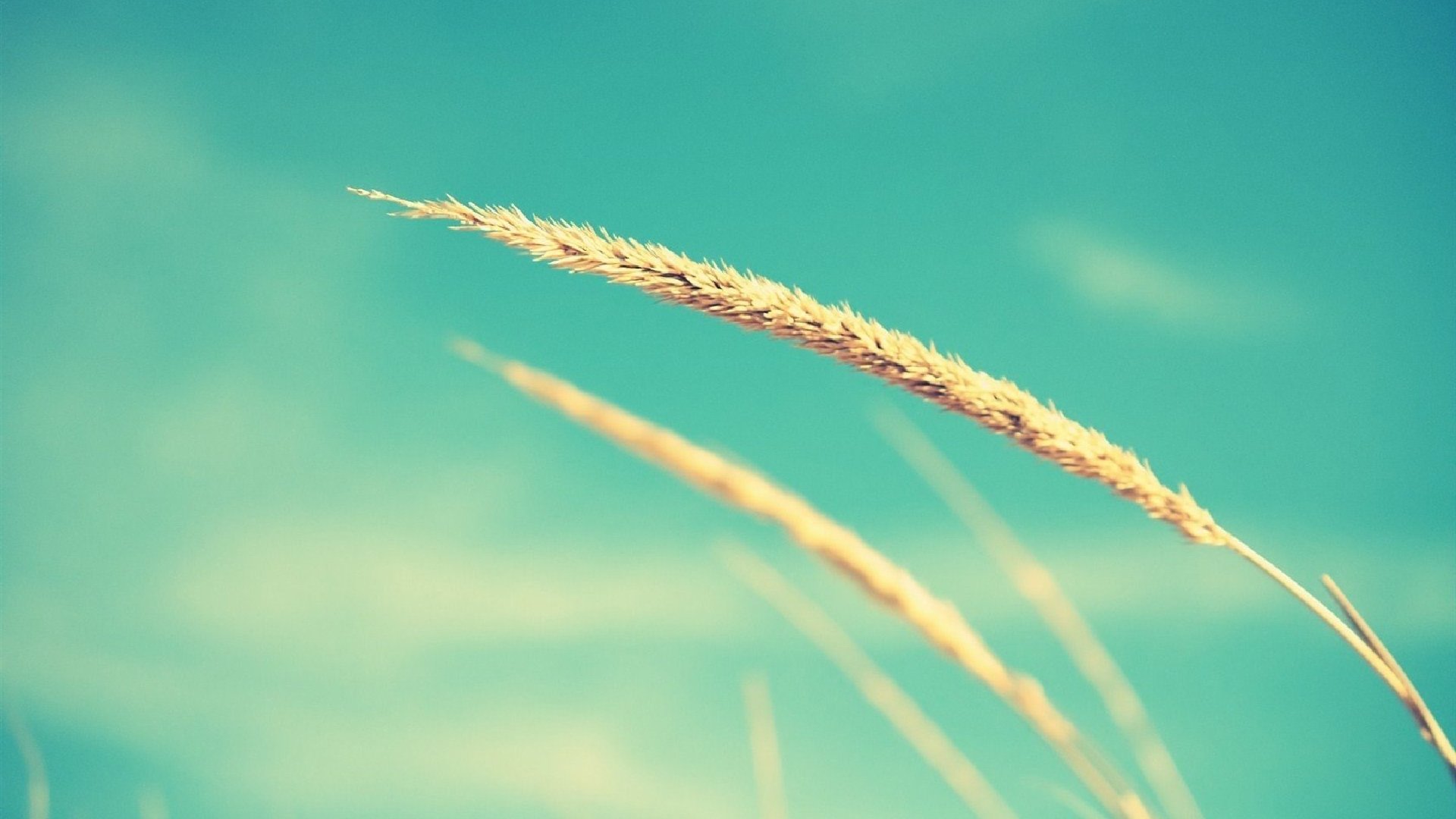 清新,简洁,清爽,护眼	