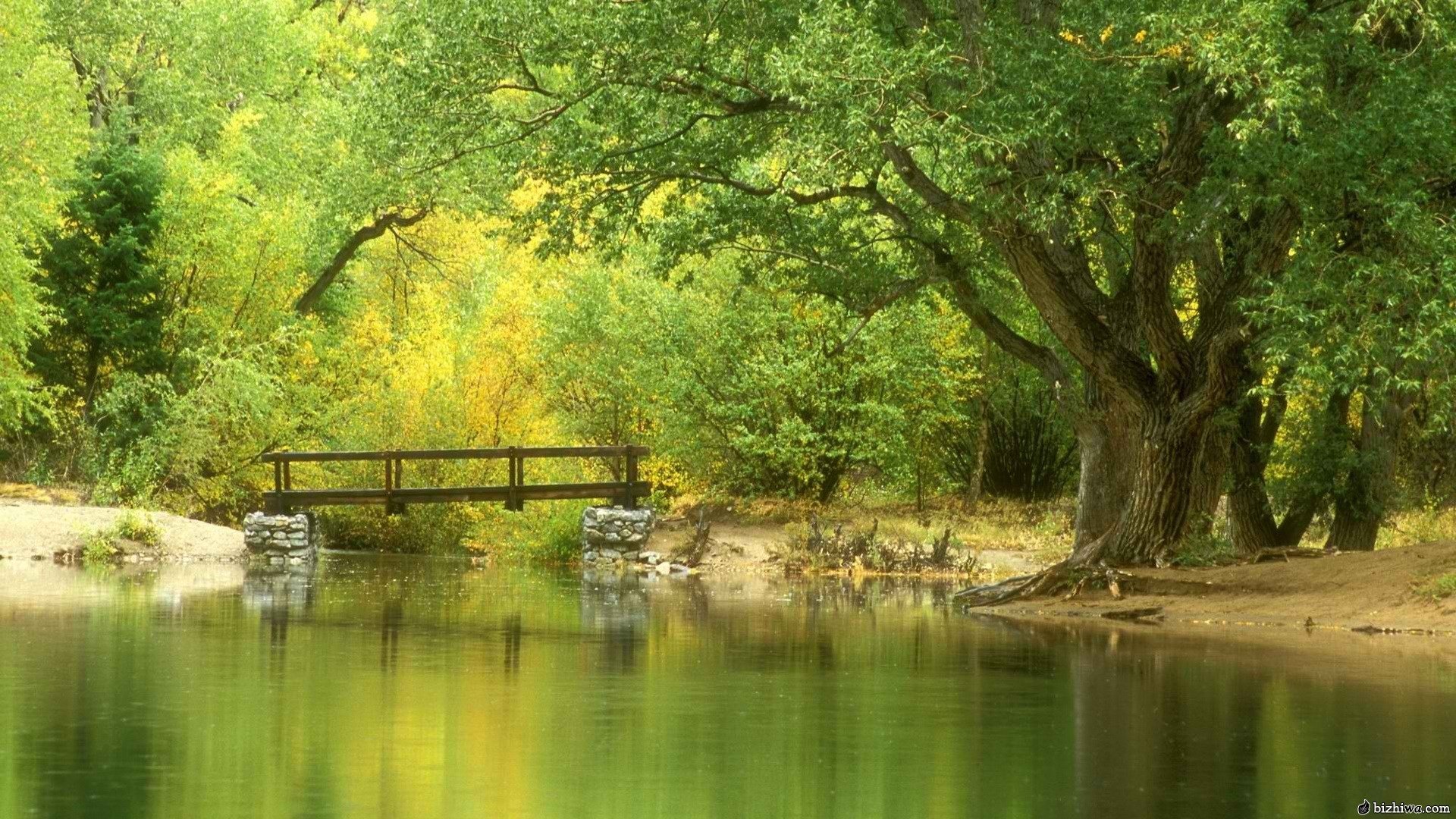 风景,自然风景,高清,宽屏