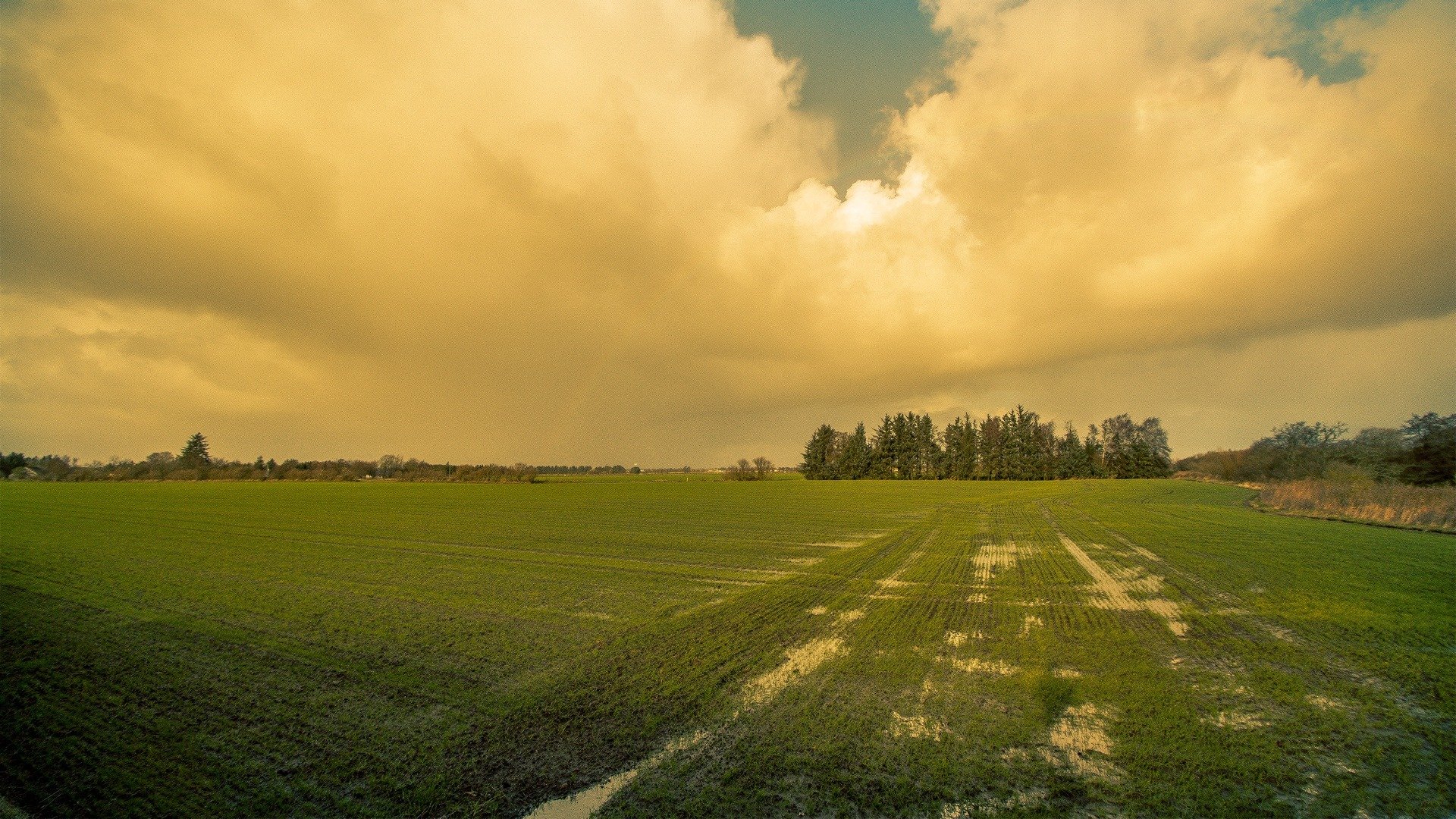风景,草原,黄昏,广阔