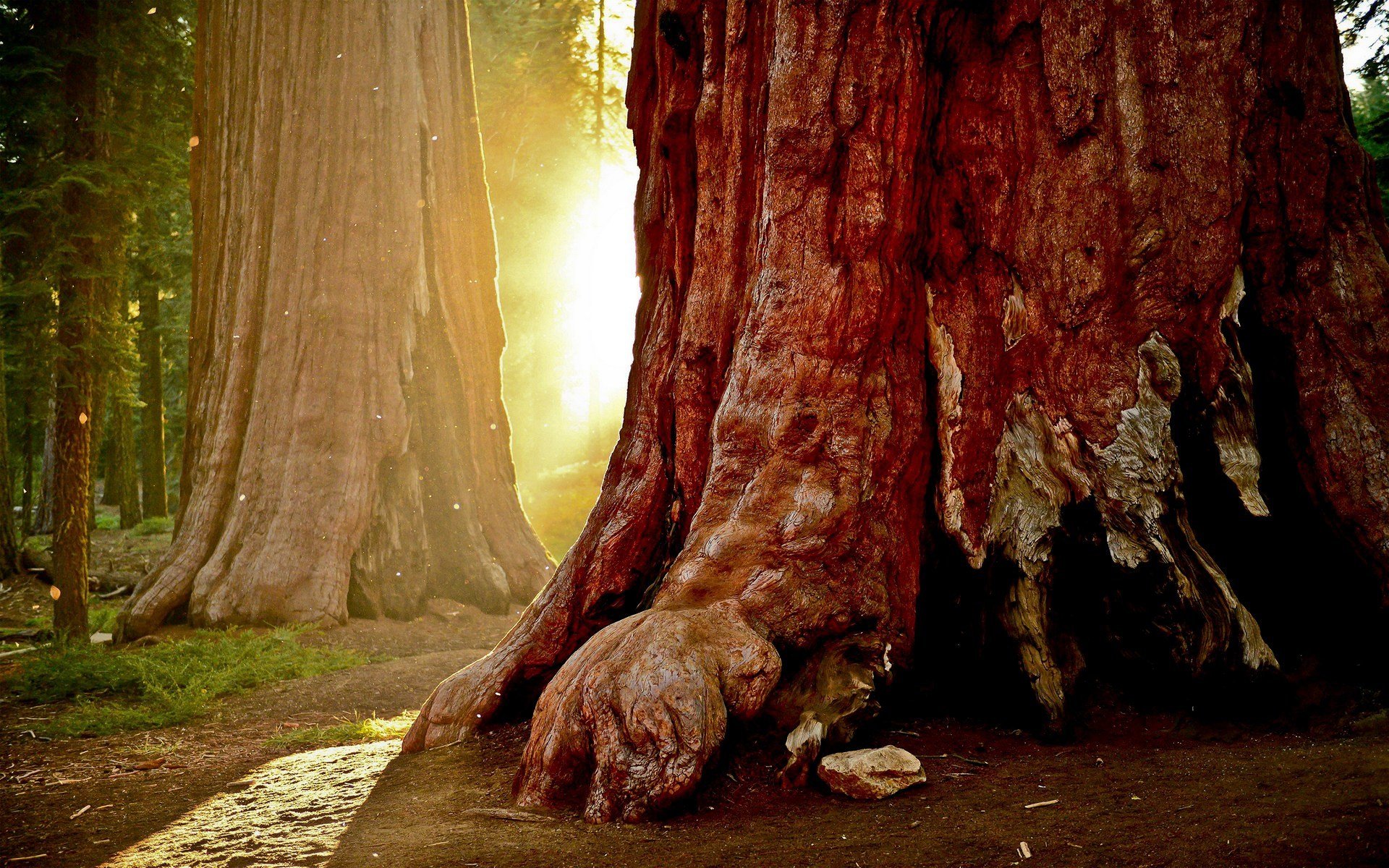 Retina,高清,风光,风景,艺术,设计,宽屏