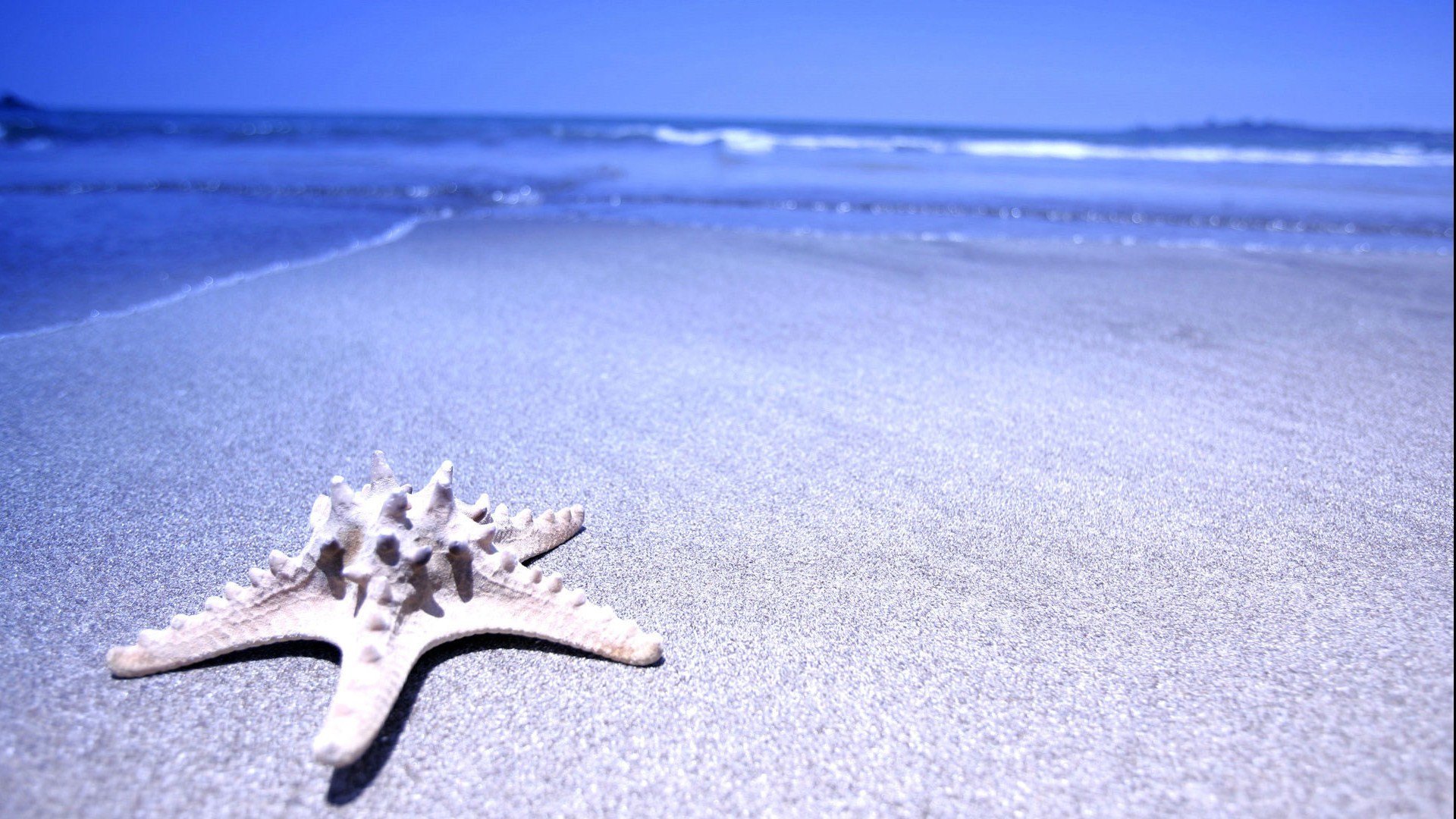 风景,风光,大海,海星,自然风景,高清,宽屏