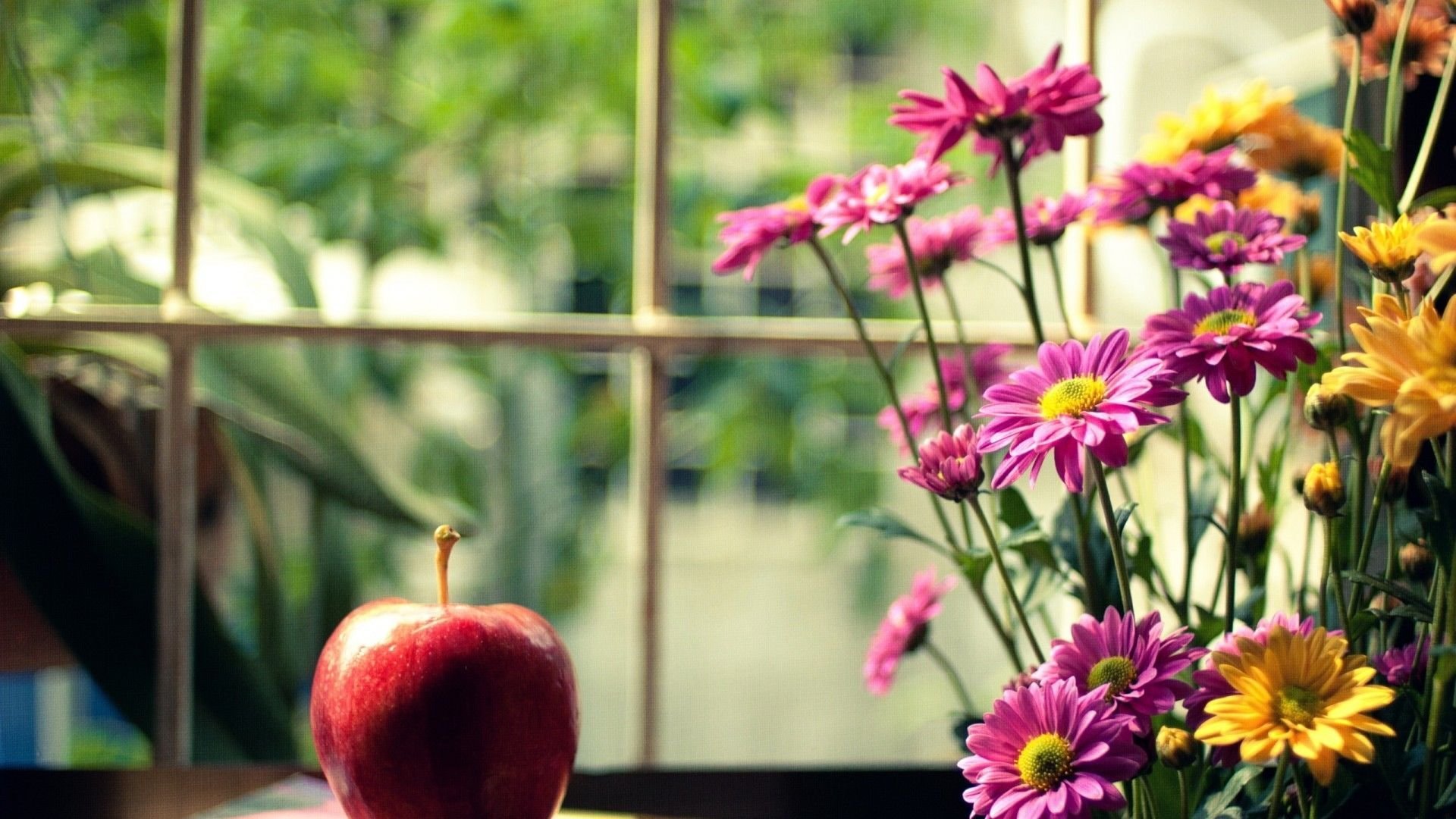 清新,苹果,小花