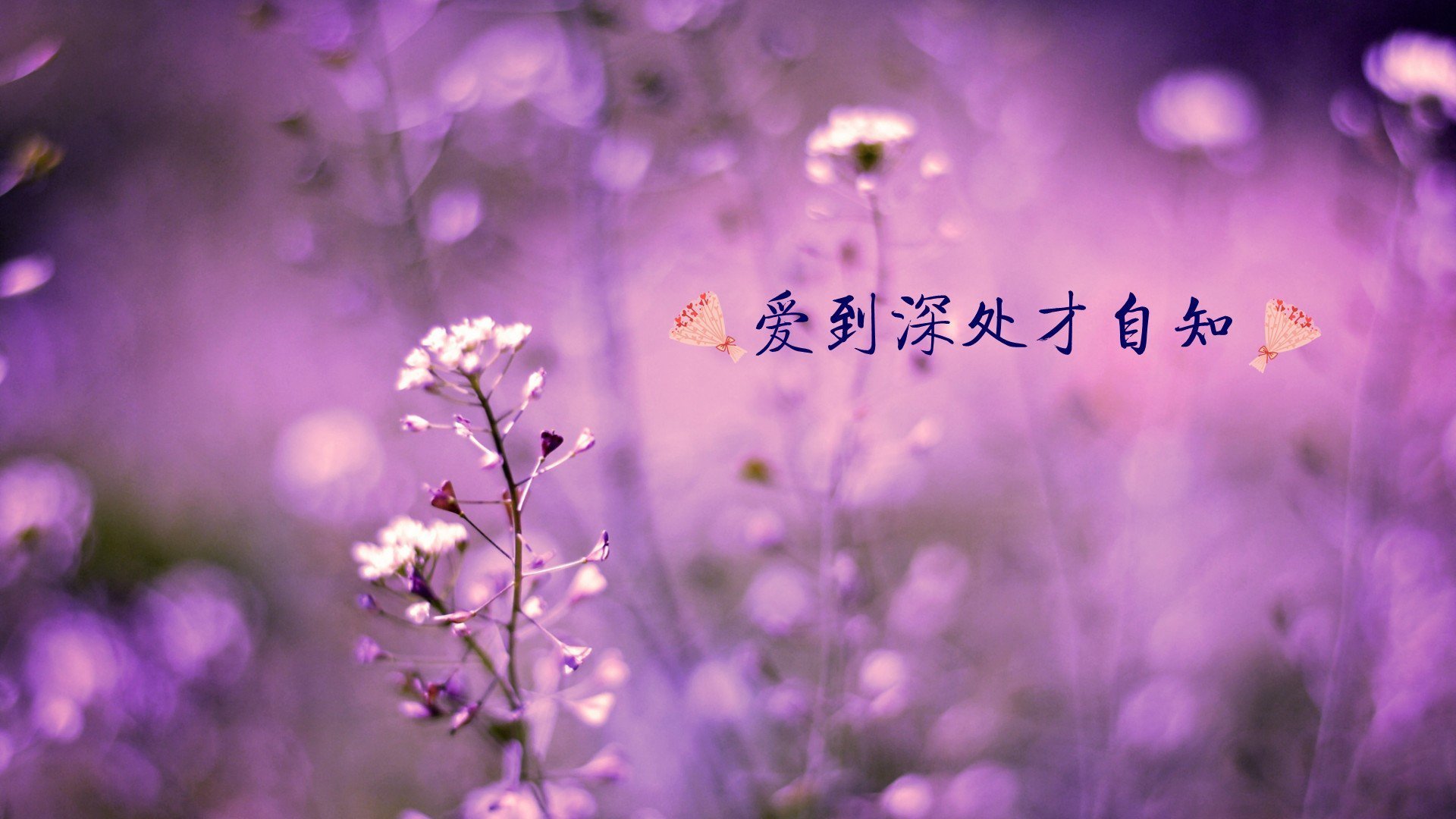 爱情,爱情箴言,温馨