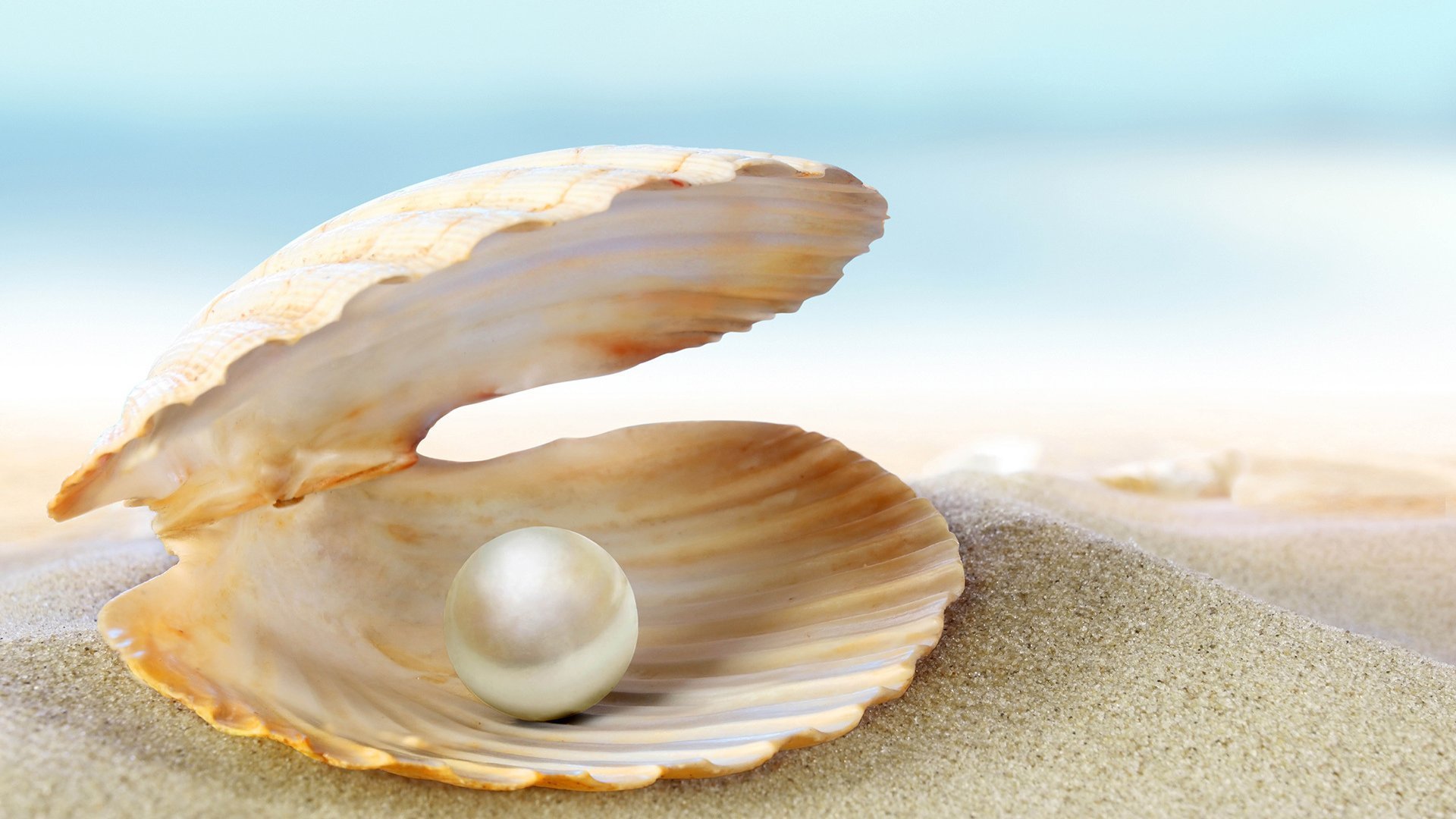 小清新,贝壳,珍珠,沙滩