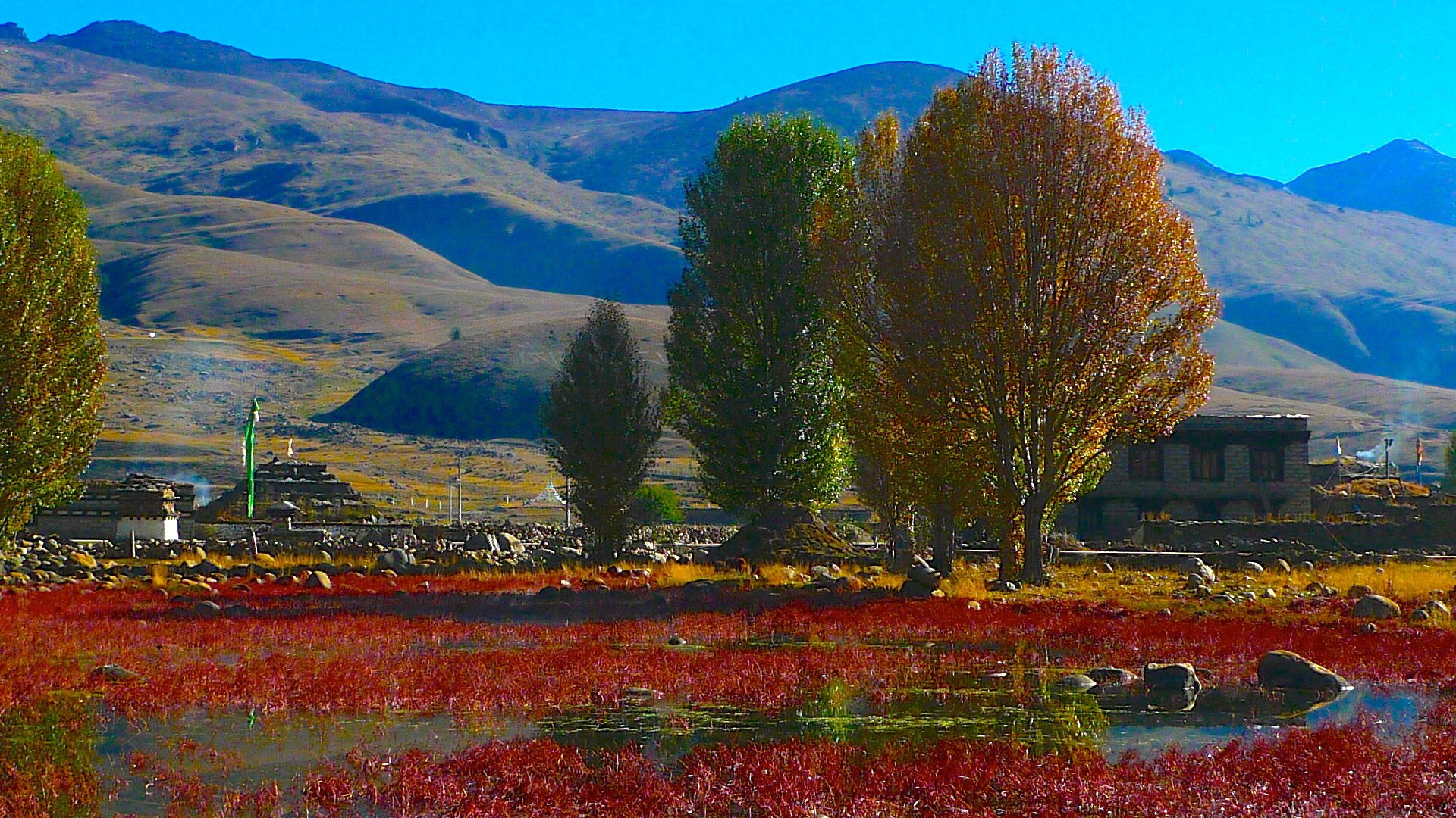 风景,自然风景,蓝天,高清
