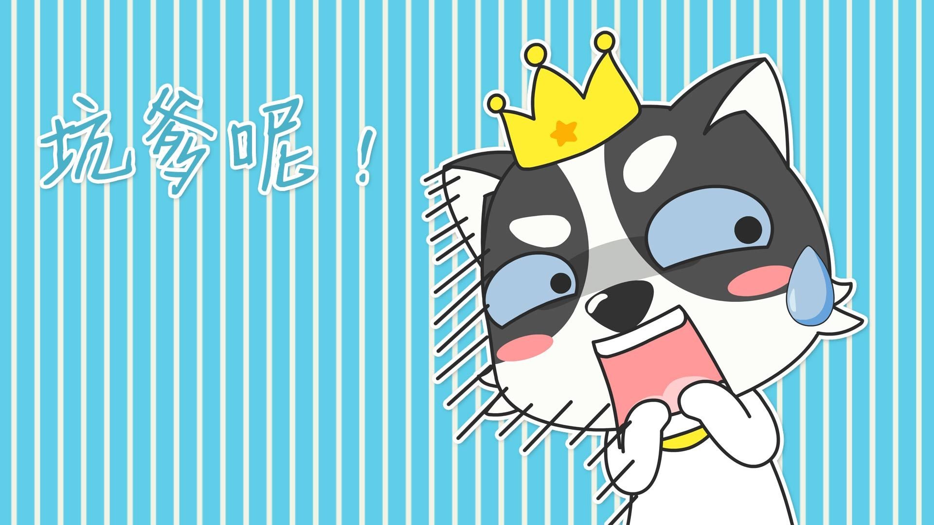 动漫,狗,哈士奇,萌,贱