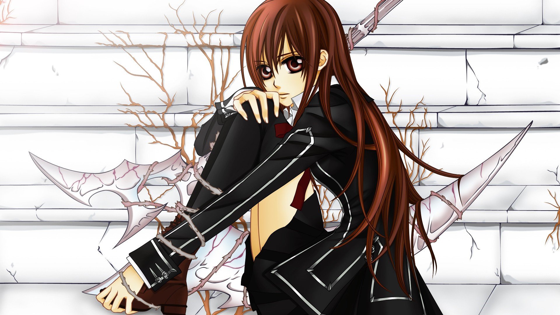 吸血鬼骑士,吸血鬼,少女动漫,高清