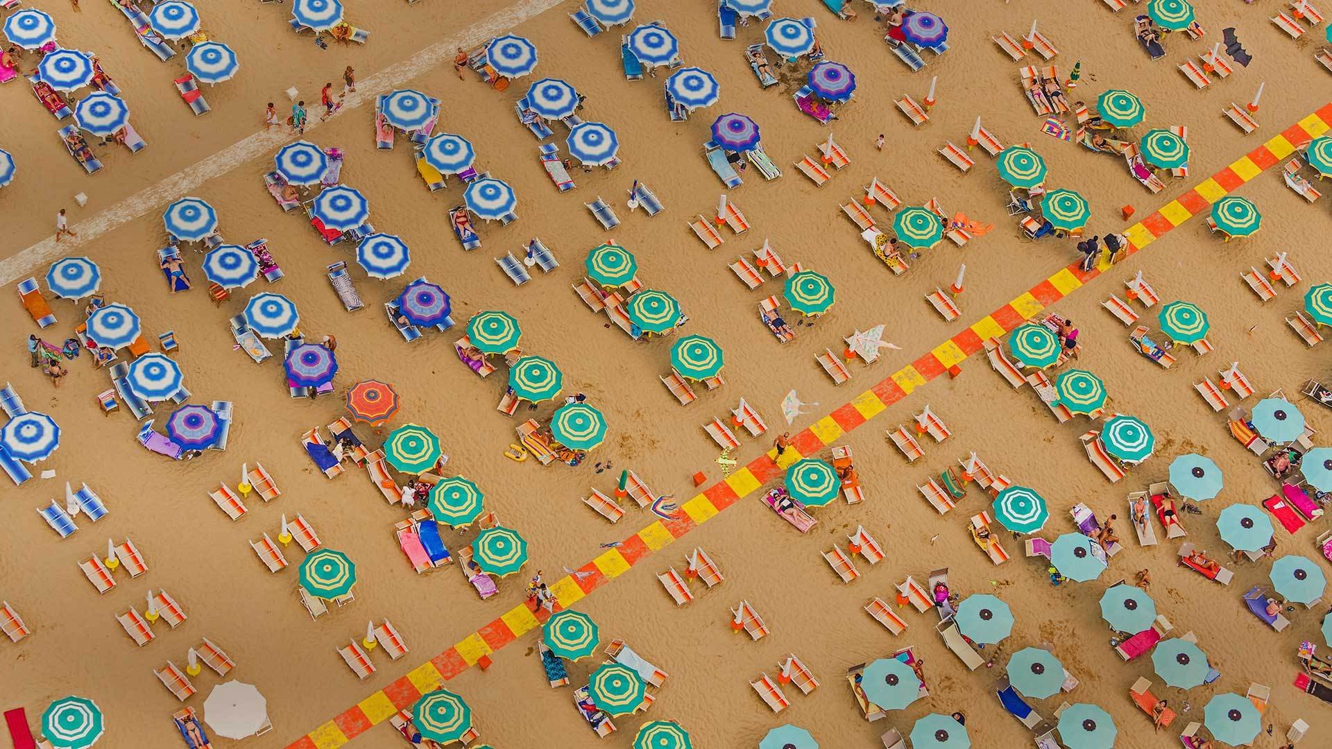 2015年,Bing,官方,主题,宽屏,风光,风景,摄影,动物