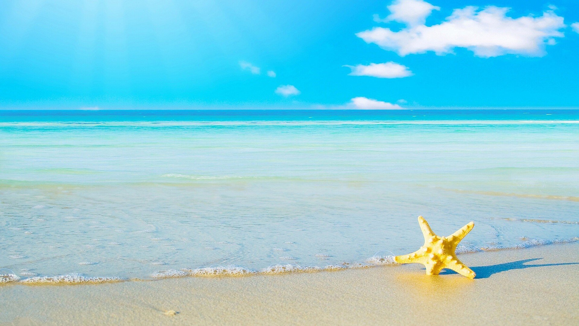 小清新,蓝天,白云,大海,海星