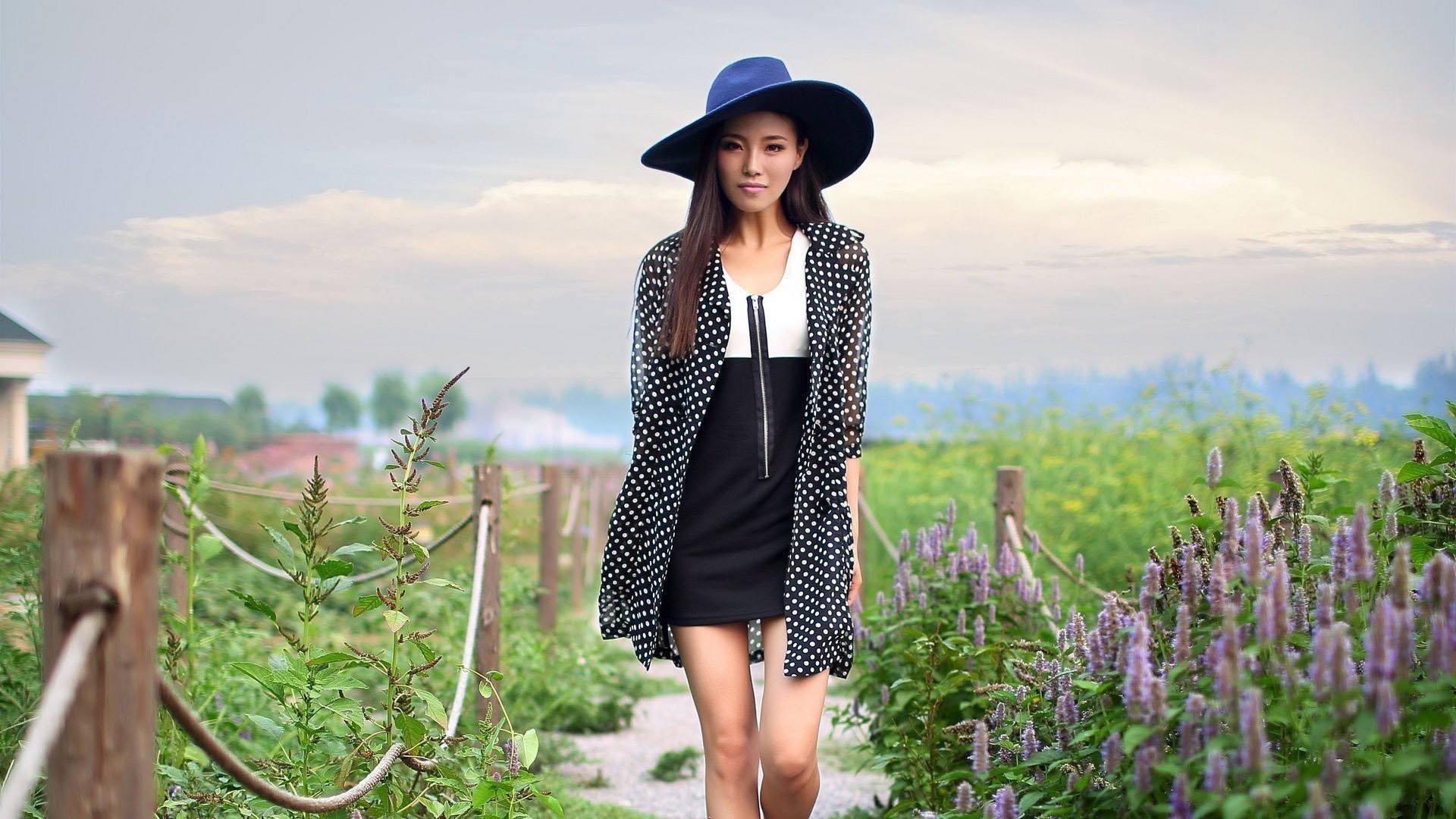 美女,御姐范,薰衣草