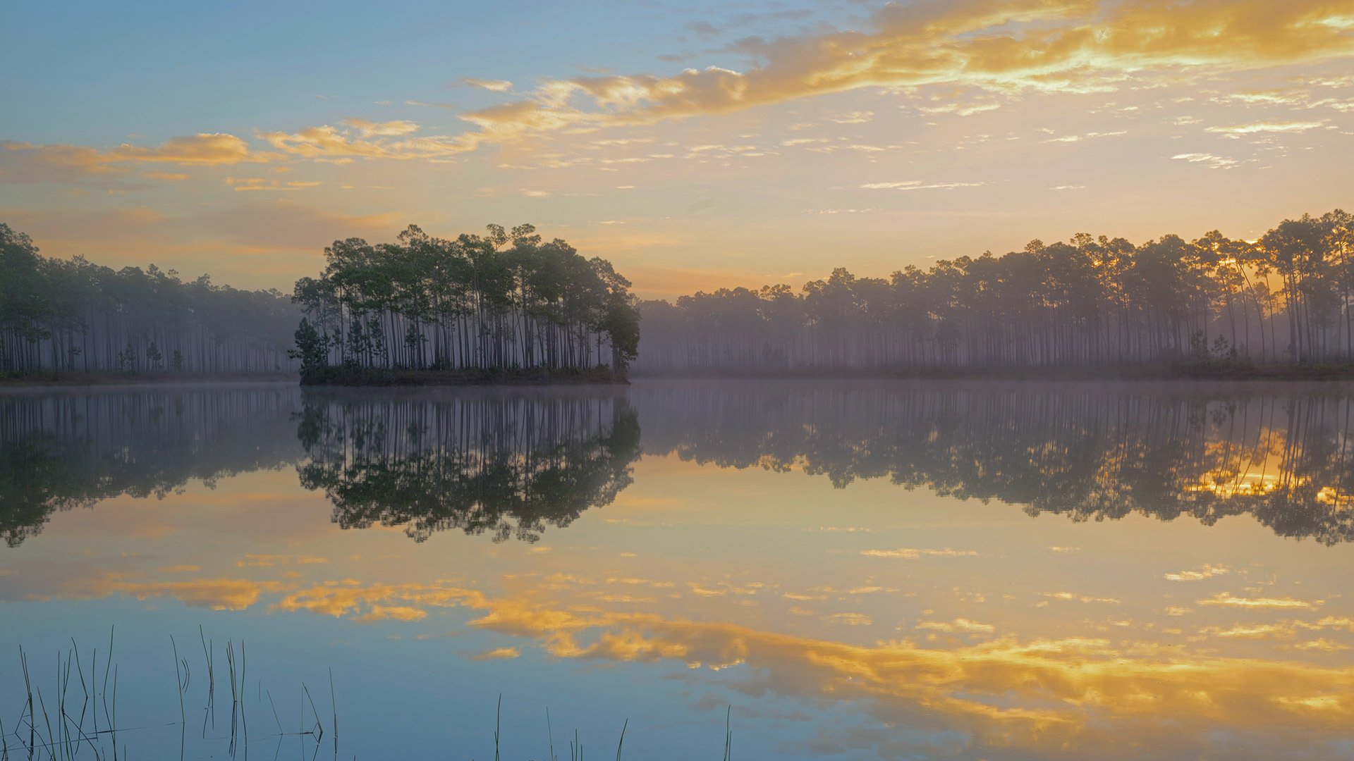 2015年,Bing,官方,主题,宽屏,风光,风景,摄影,动物