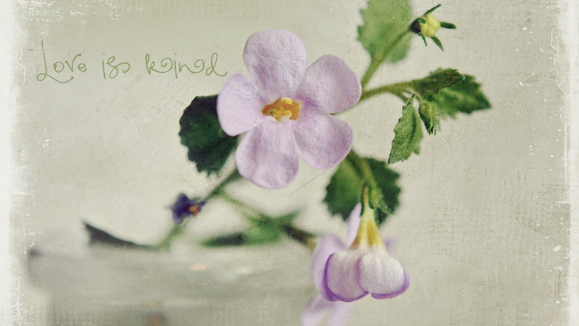 爱情,爱情箴言,温馨,宽屏