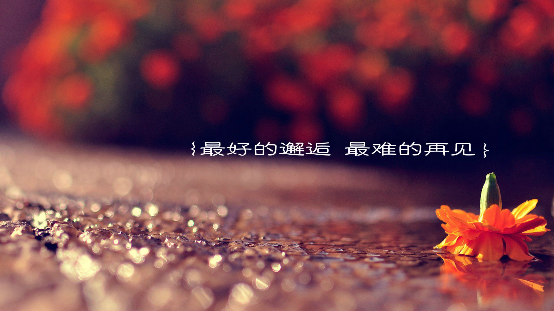 爱情,唯美,蜜语