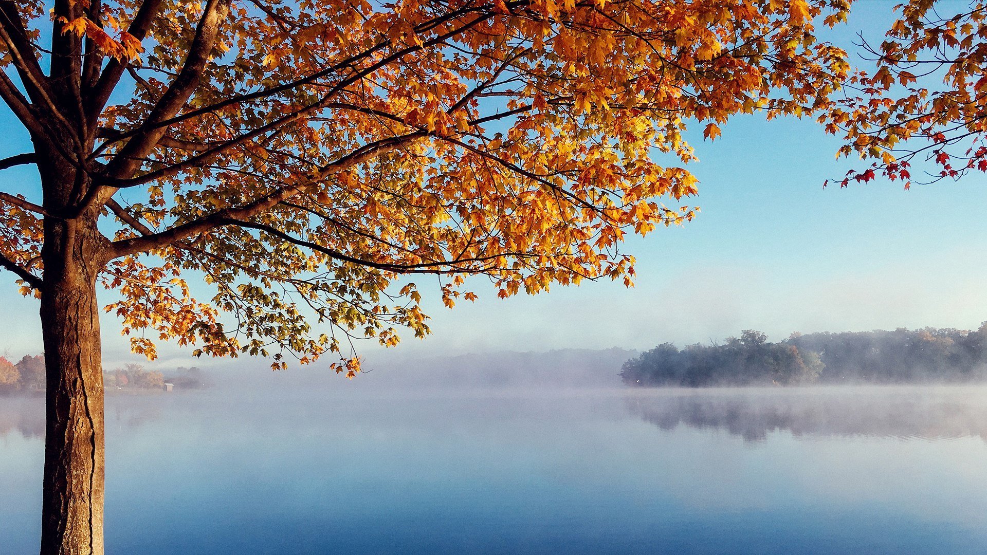 枫叶,山水,风景