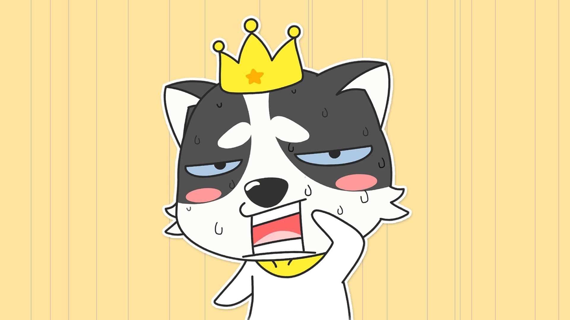 动漫,狗,哈士奇,萌,贱