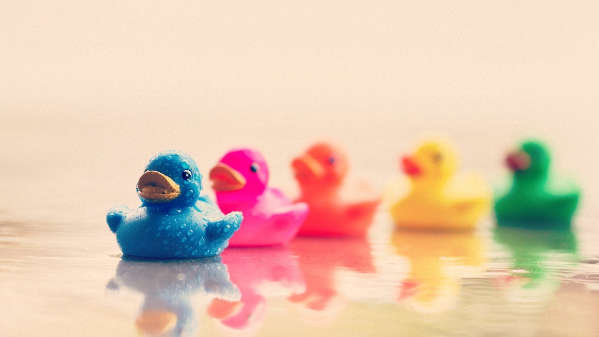 小清新,小鸭子,彩色