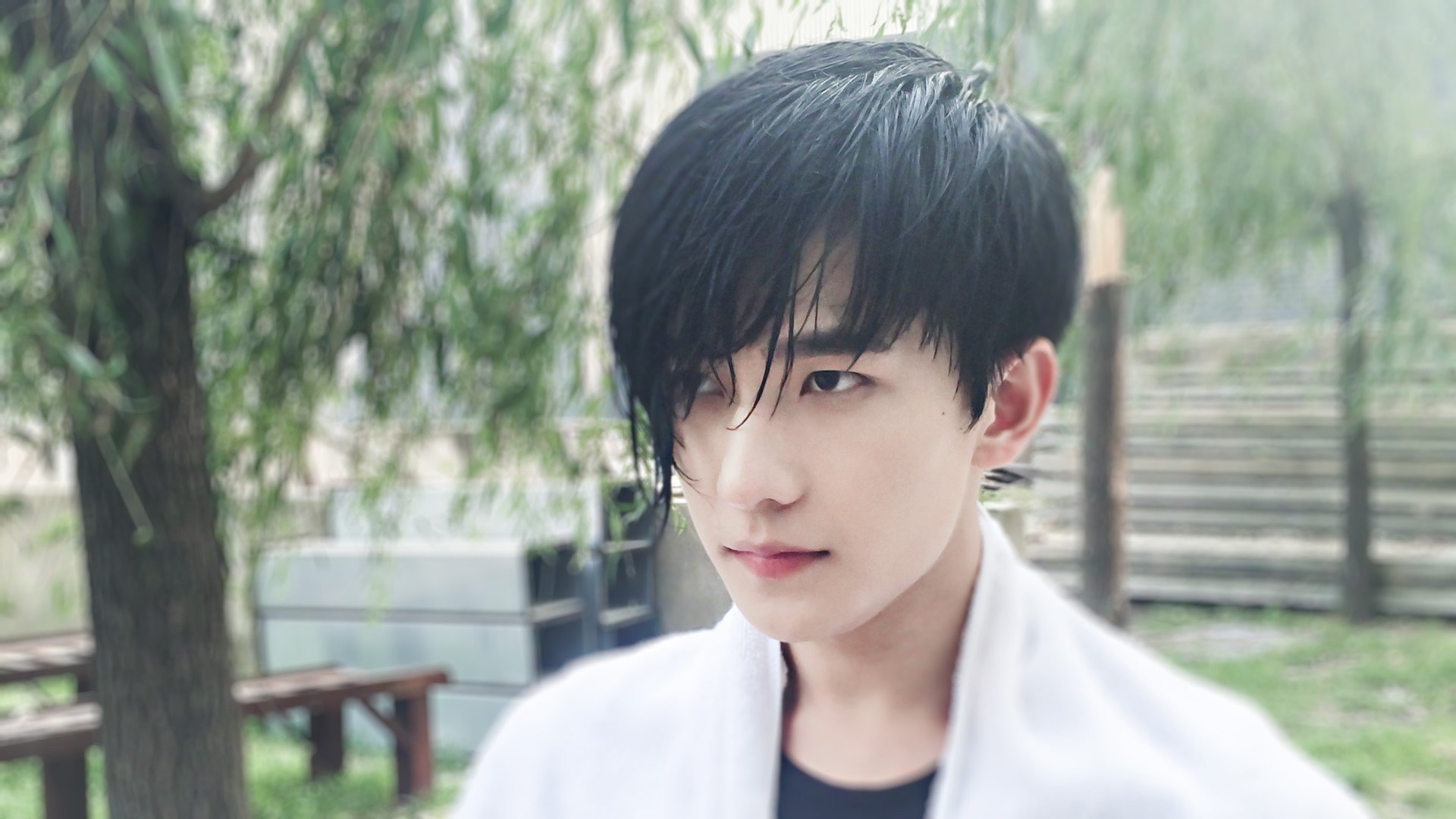 明星,杨洋,小鲜肉