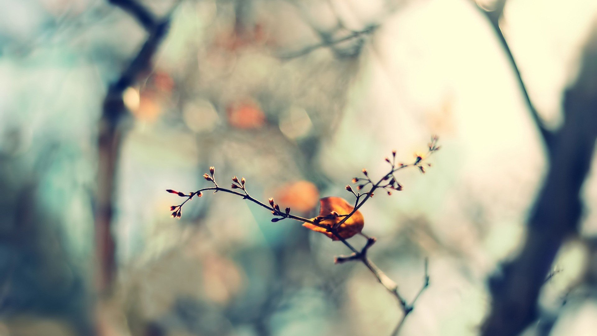 小清新,简单,温馨,高清