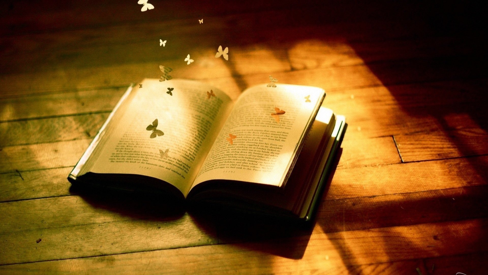 小清新,时光,书本	