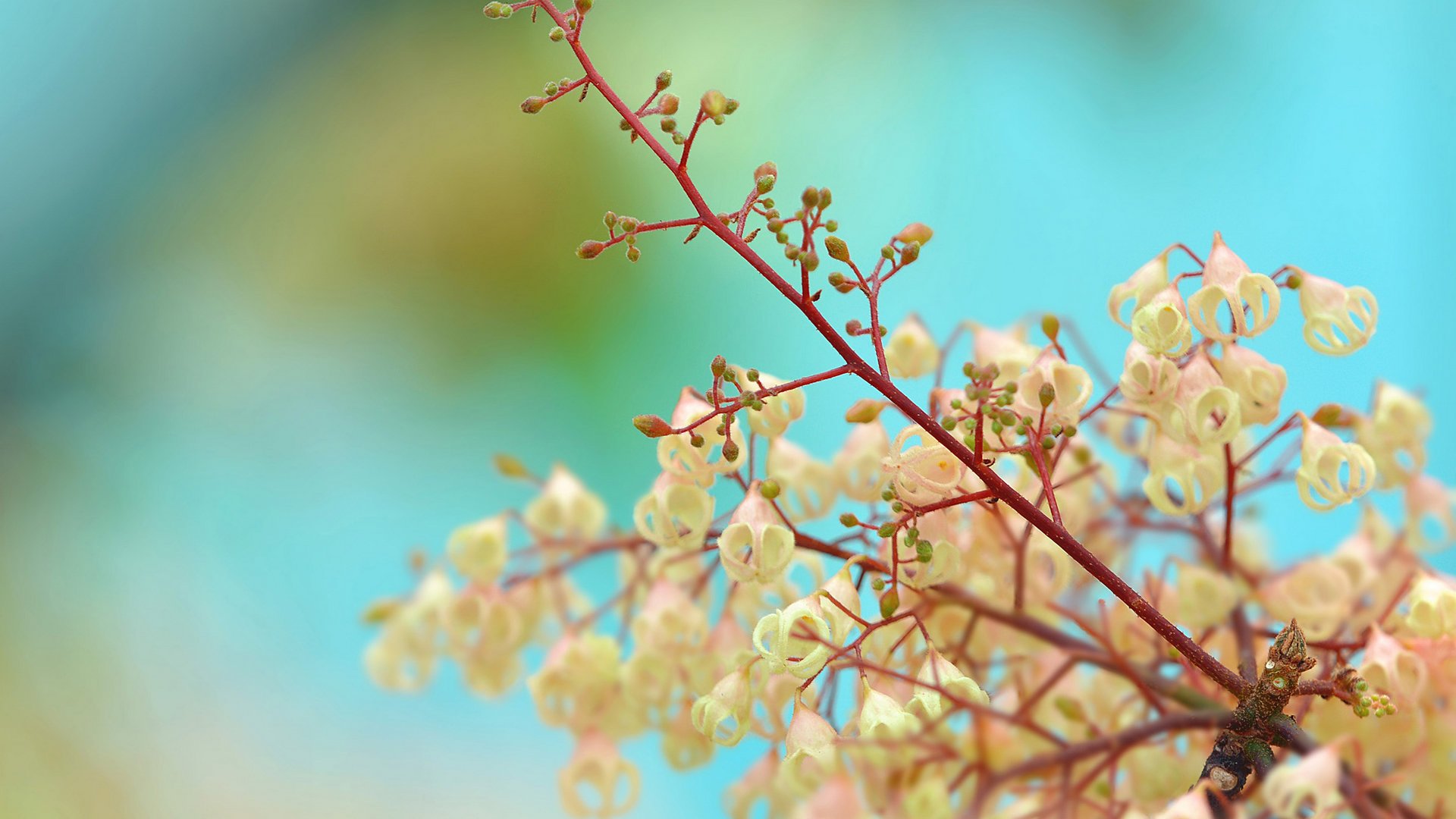 小清新,简单,可爱,高清