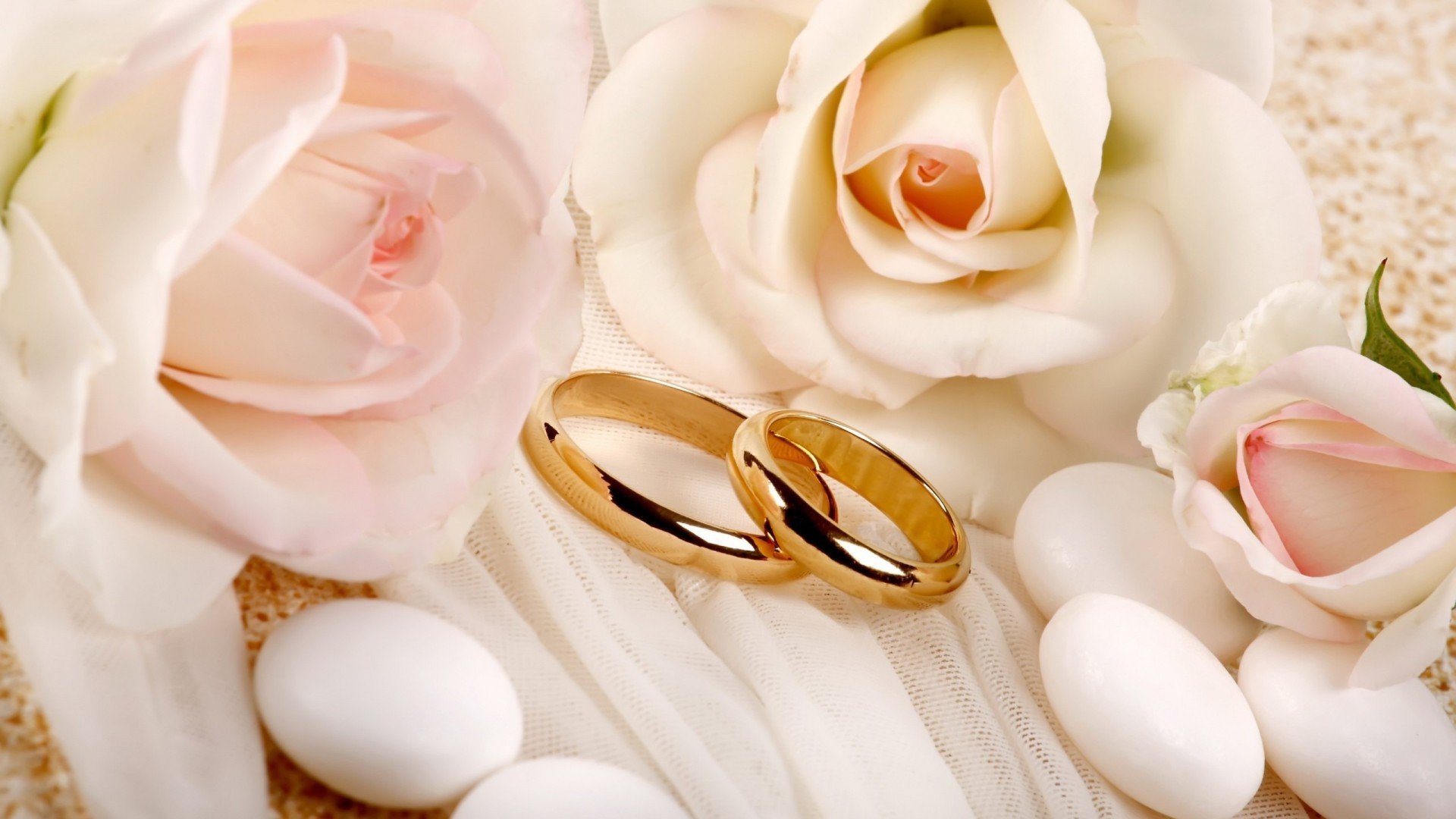 爱情,戒指,玫瑰花,唯美