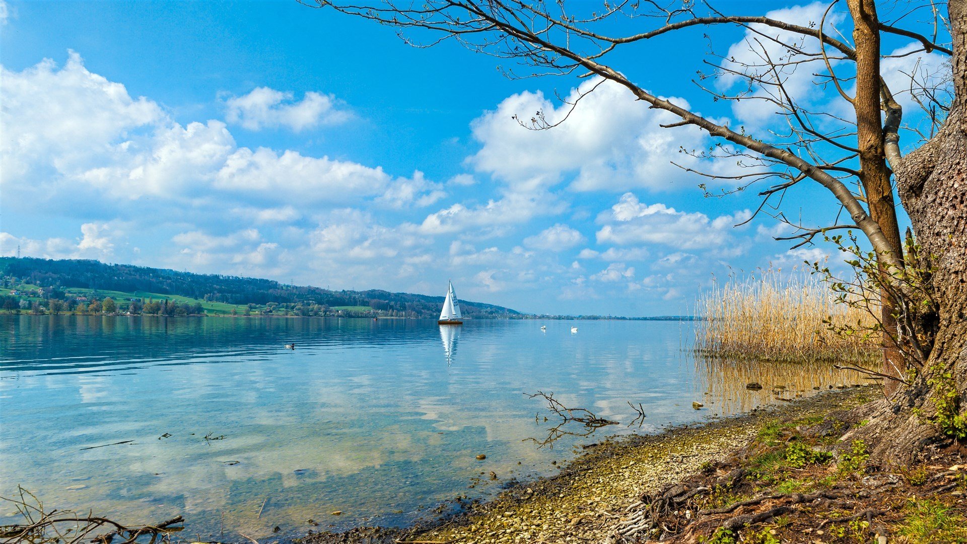 风景,自然风景,蓝天,白云,高清